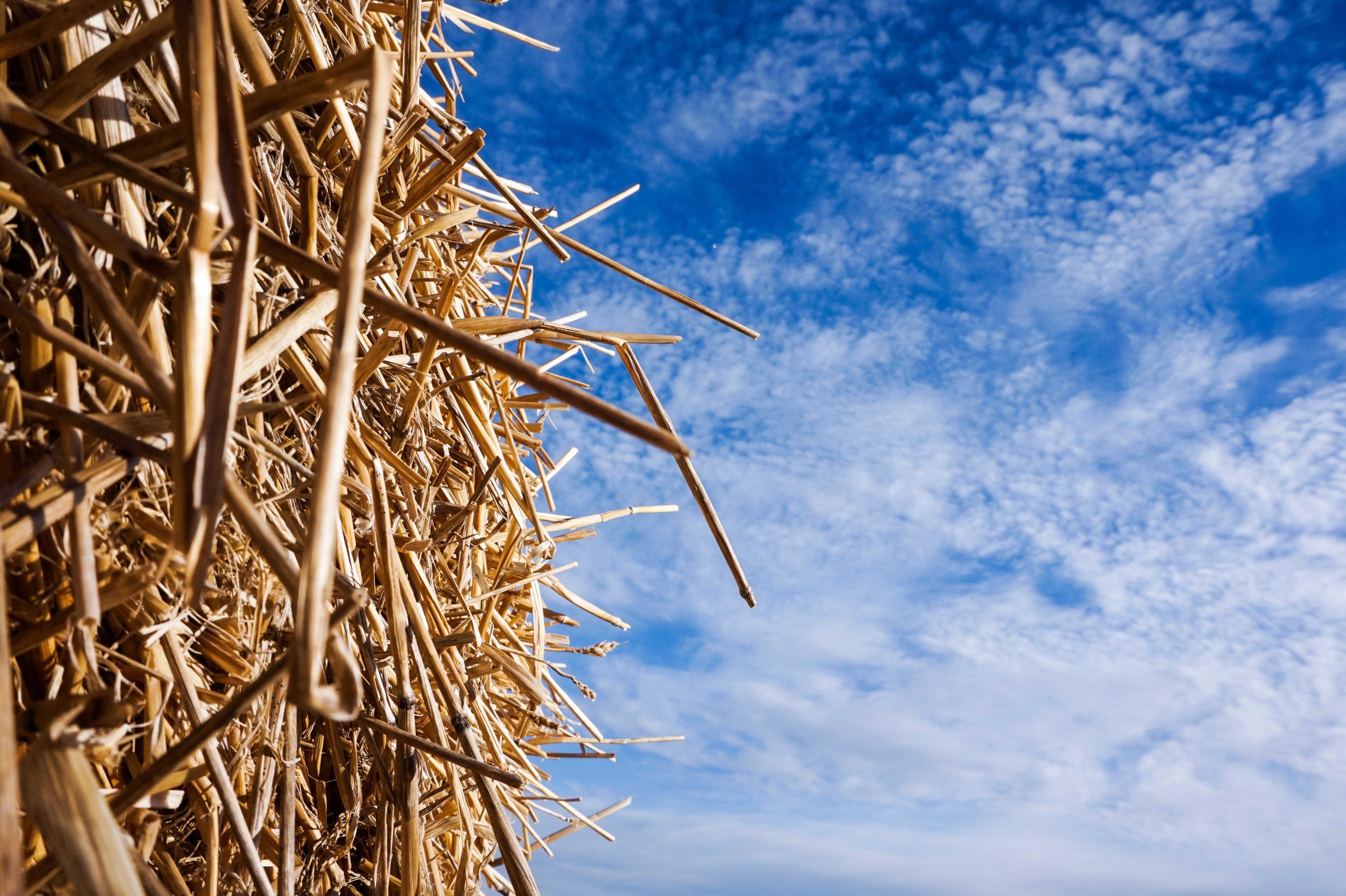 sky cloud hay and straw bale 4k, HD Wallpaper