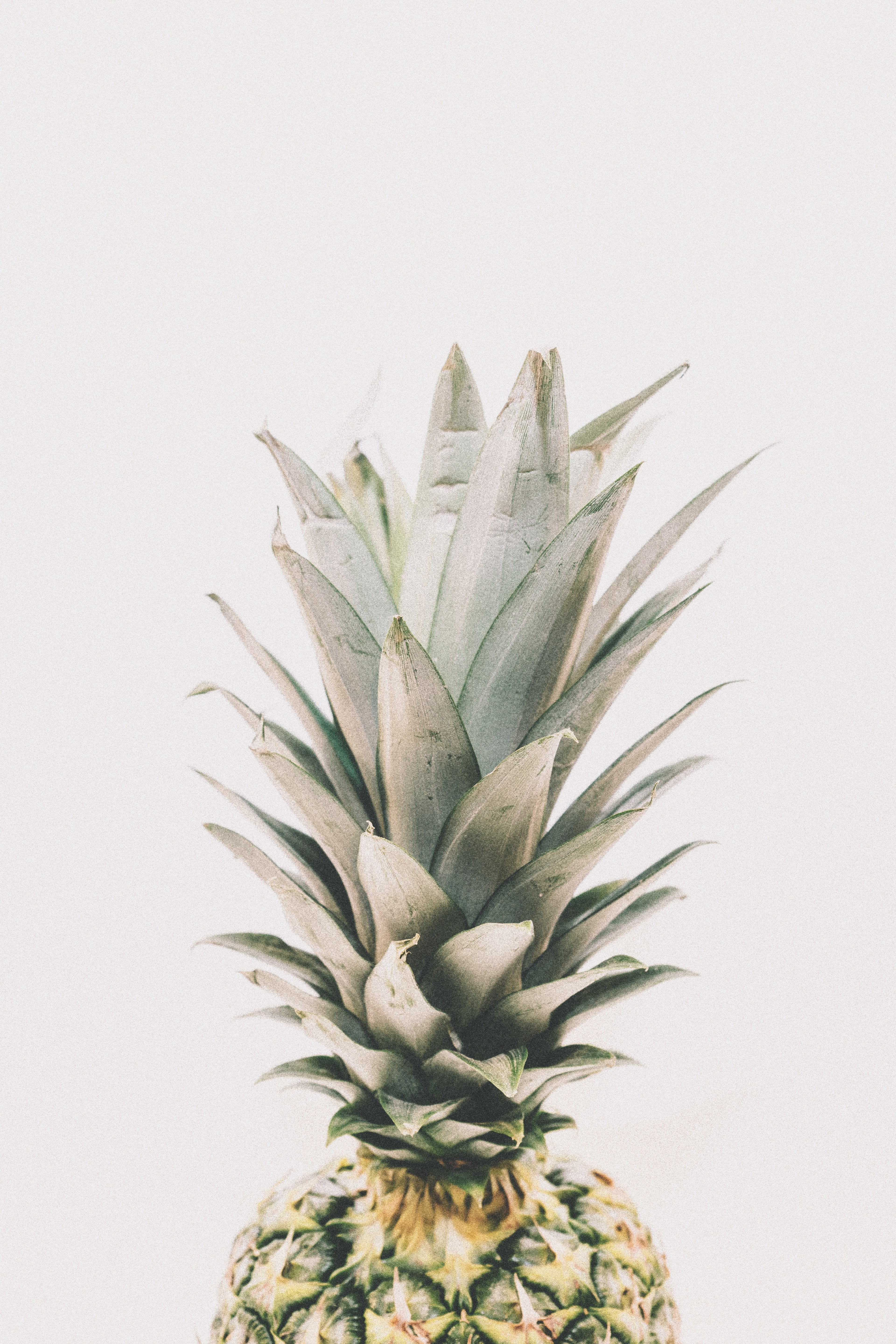 the top of a pineapple, _pineapple top 4k, Phone HD Wallpaper