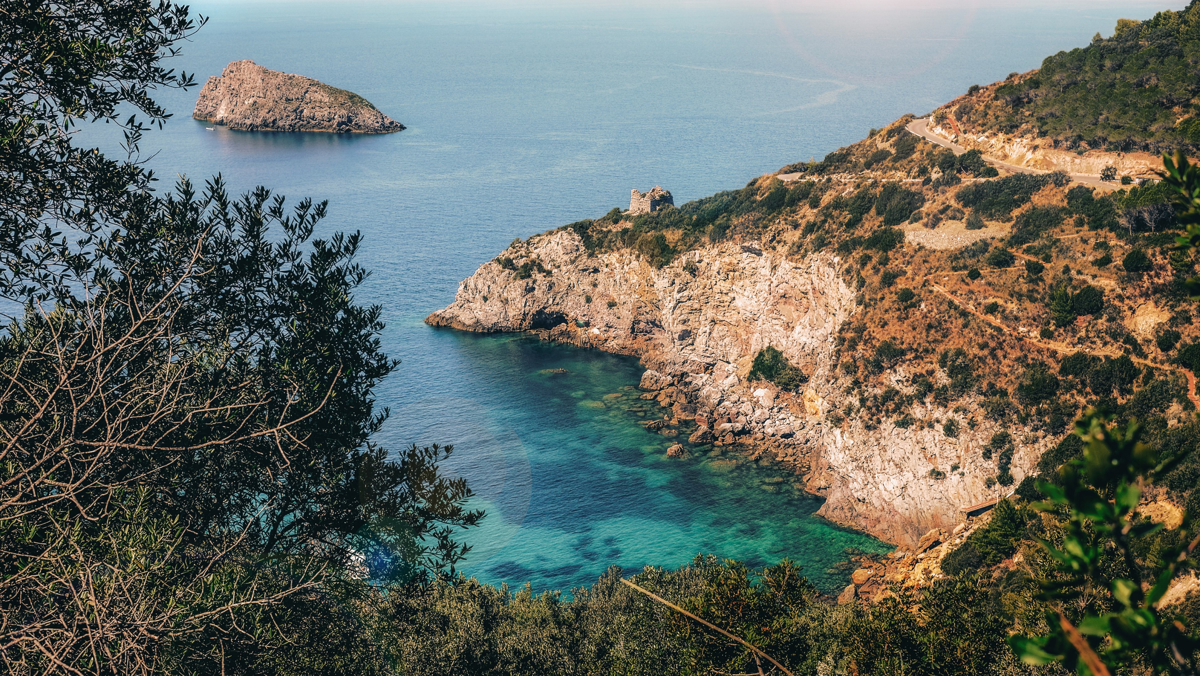 tree vsco travel and vacation 4k, HD Wallpaper