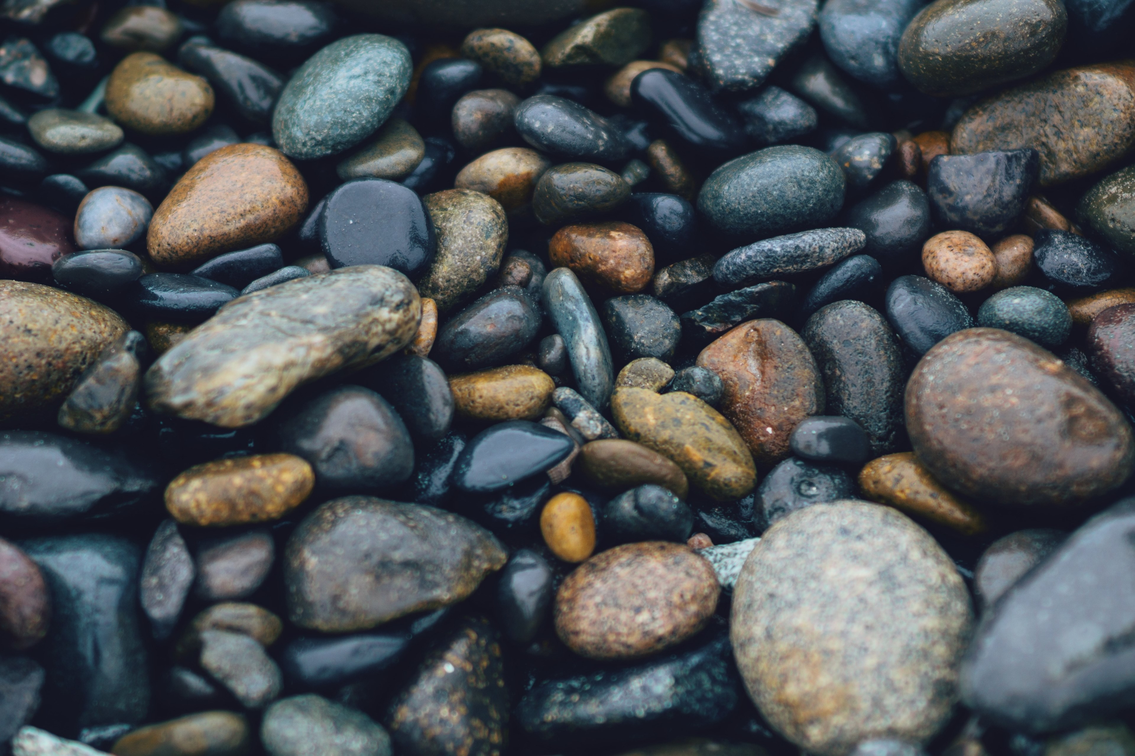 wet beach pebbles of various colors and sizes at oceanside, wet pebbles 4k, HD Wallpaper