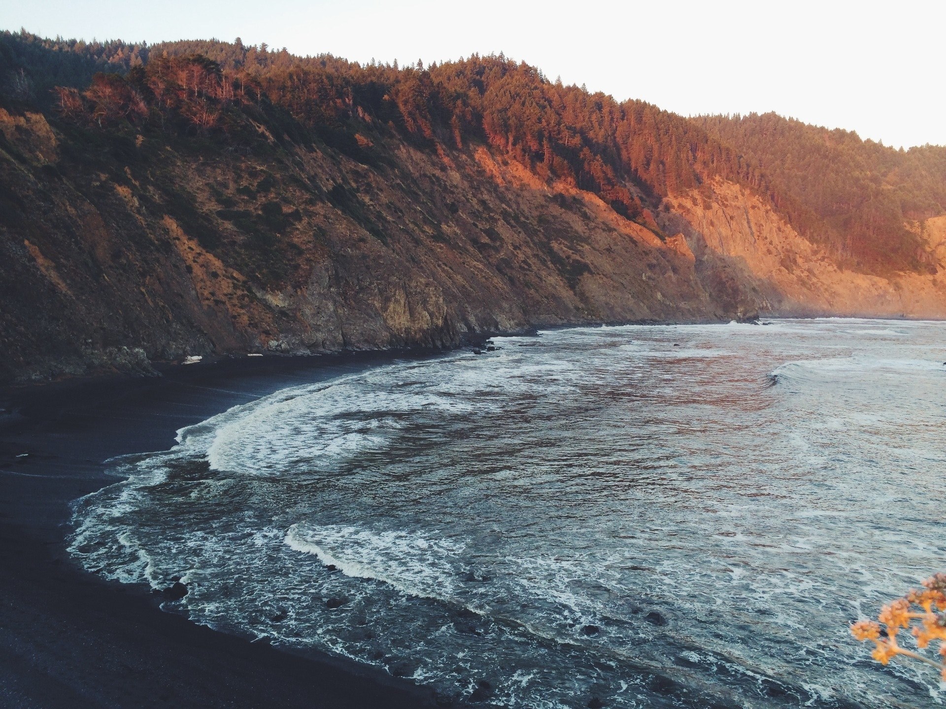 a scenic view of a bay cutting into the rocky wooded coastline, bay under the forested cliff 4k, HD Wallpaper