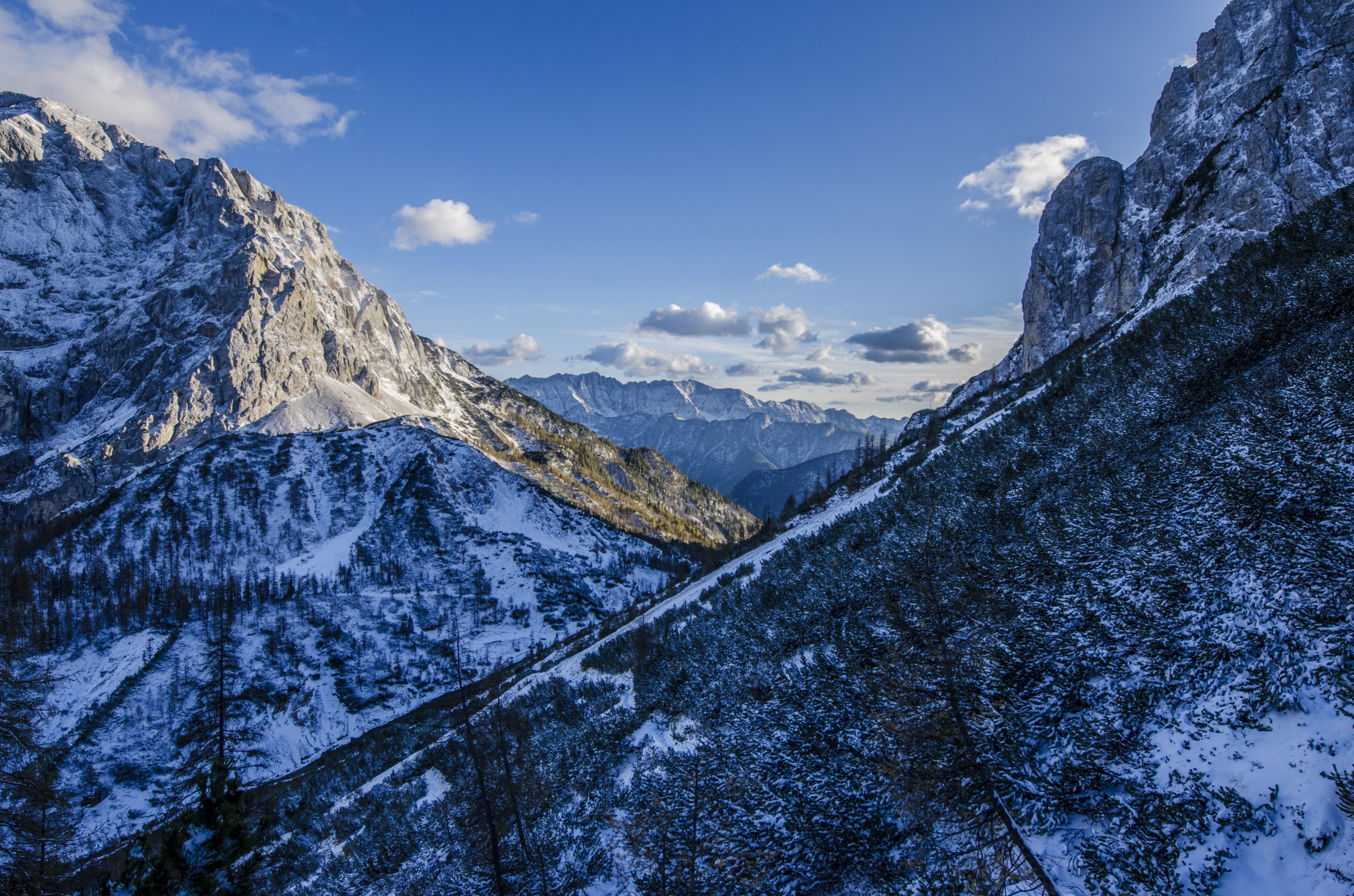 a blue hued shot of sparsely wooded mountain slopes under snow, blue mountains in winter 4k, HD Wallpaper