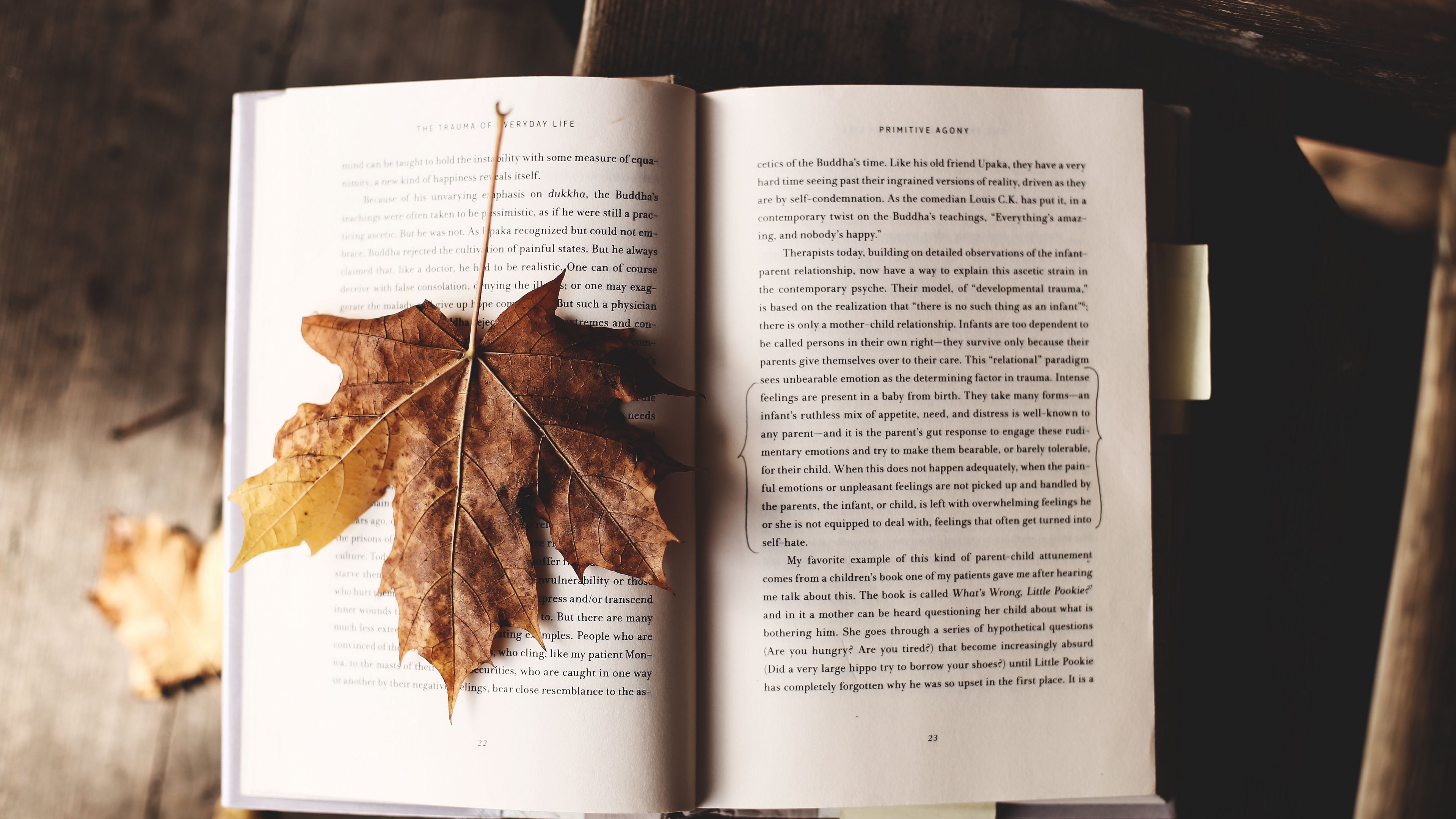 book, maple, leaf, autumn, 4k, HD Wallpaper