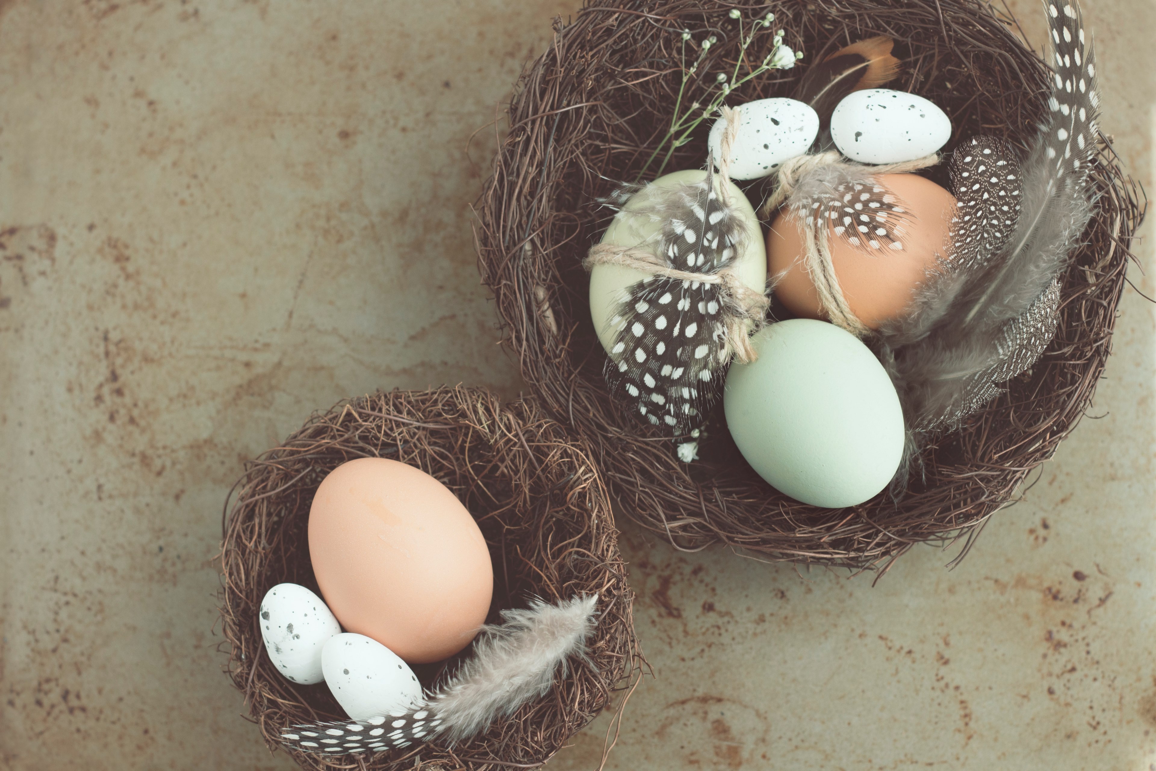a large and small nest easter basket with eggs and feathers in each, simplicity of nature 4k, HD Wallpaper