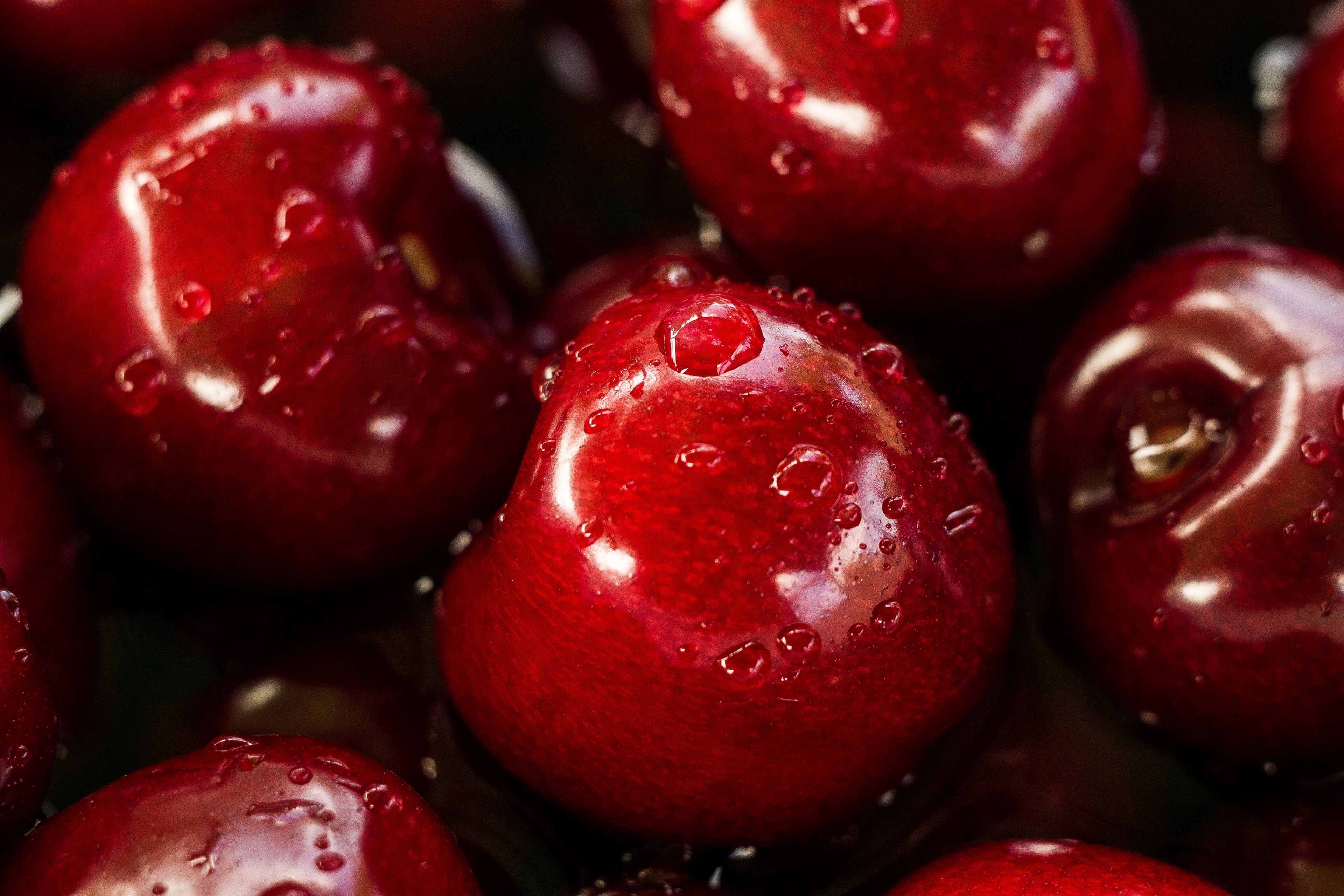 water droplets of freshly washed red cherries, fresh cherries 4k, HD Wallpaper