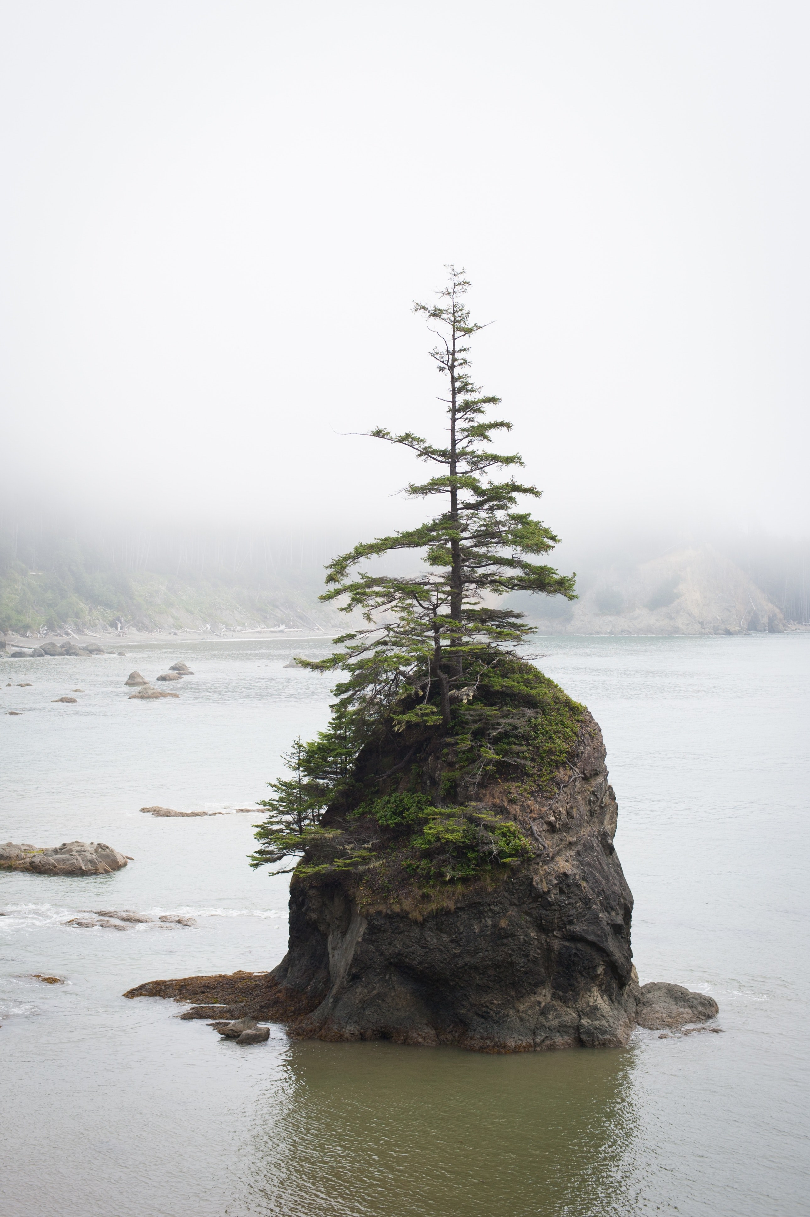 tree rock island and mountain hd, 4k, Phone HD Wallpaper