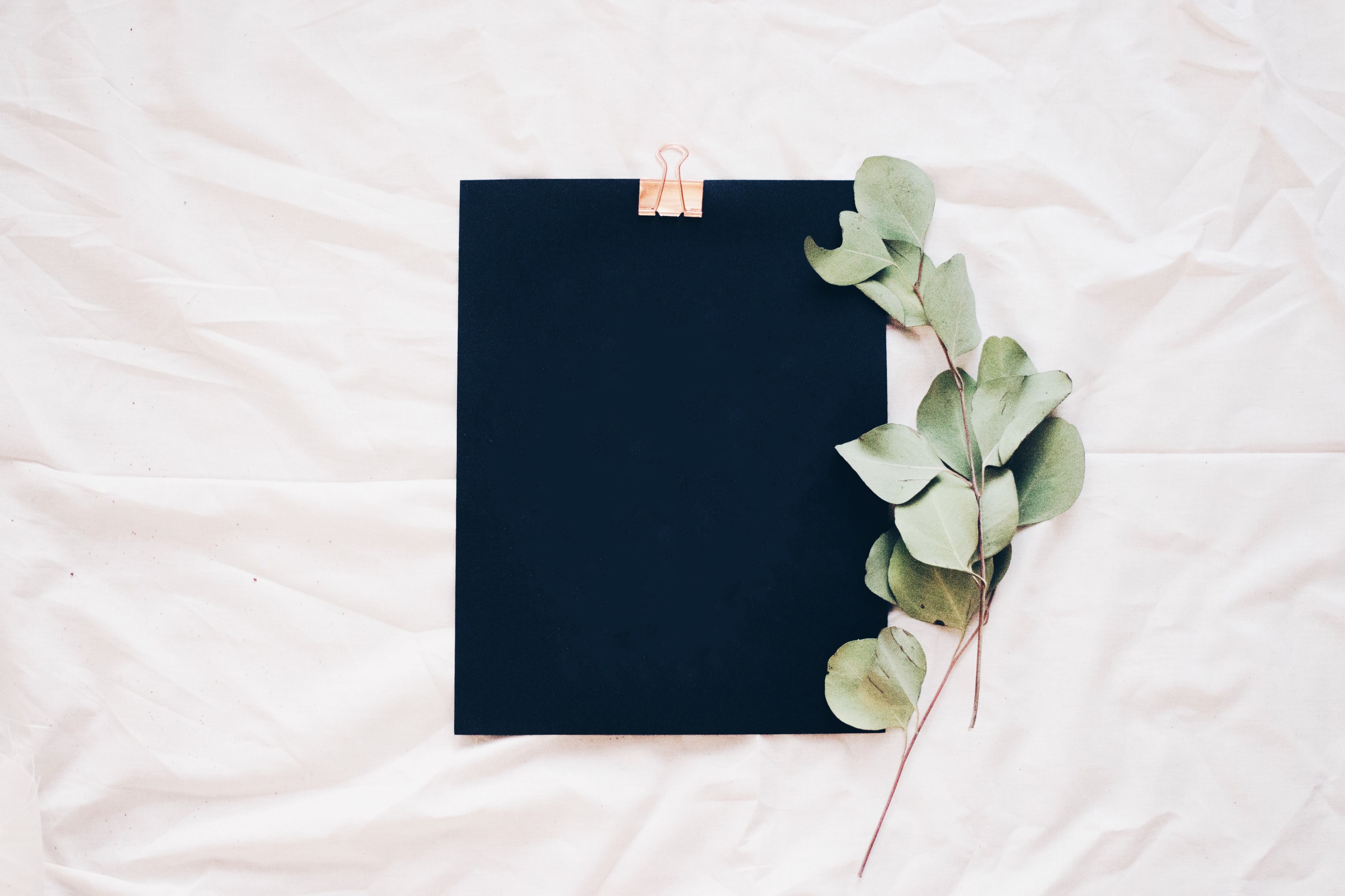 small branches of leaves next to a black clipboard on a white sheet, _black clipboard leaves 4k, HD Wallpaper