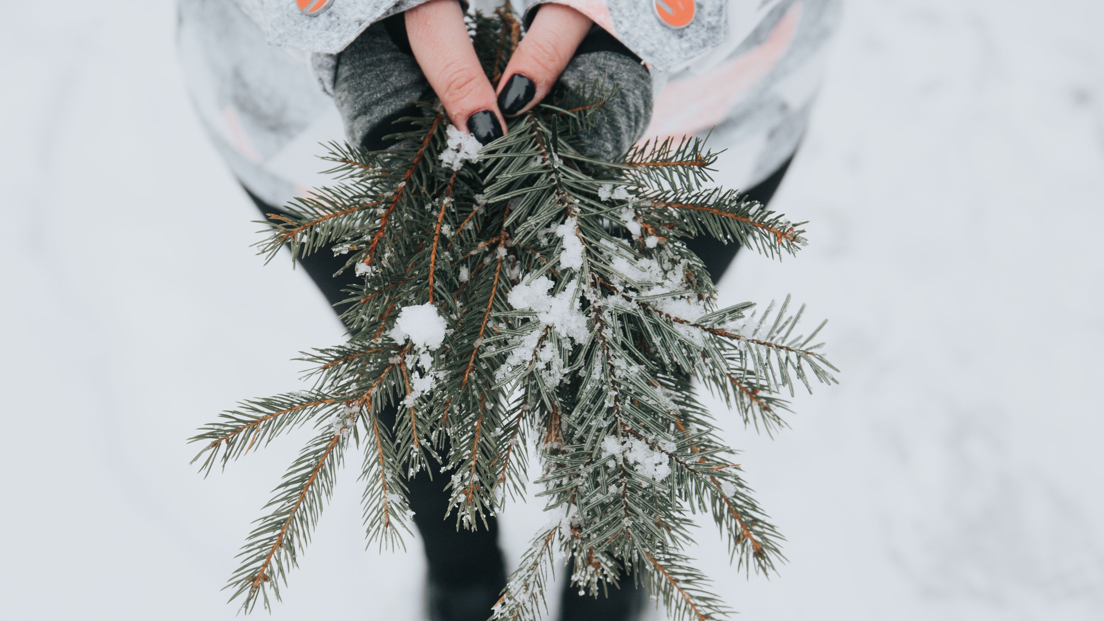 fir, snow, branches, hands, 4k, HD Wallpaper