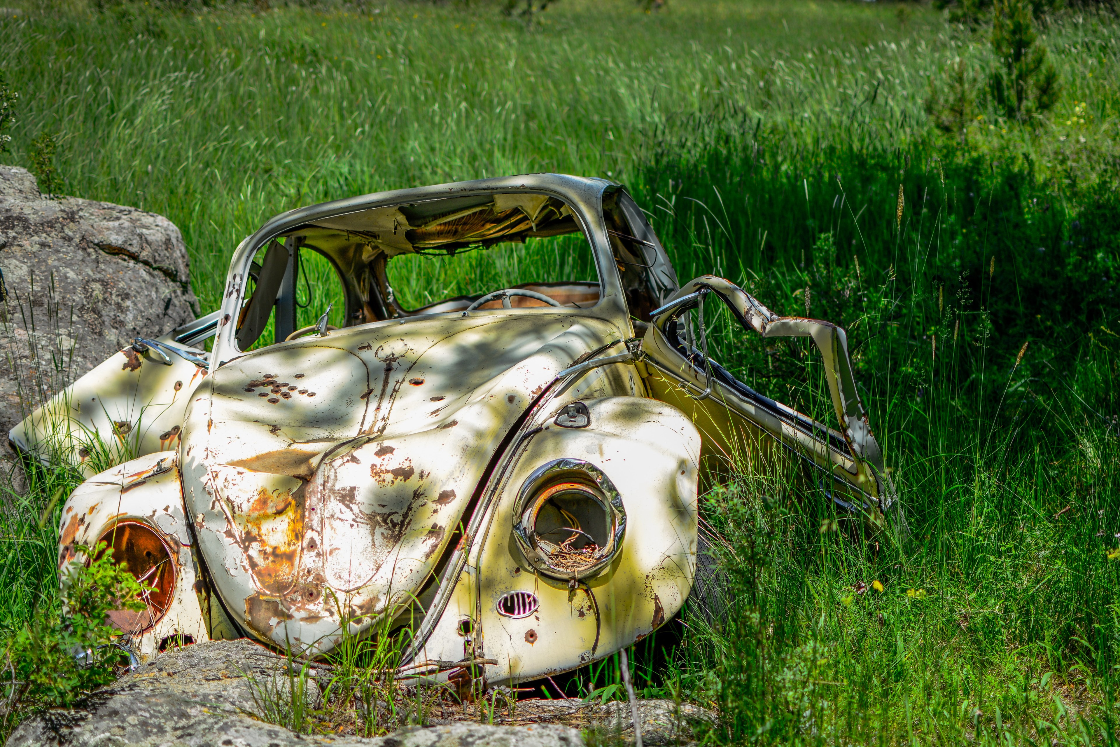 rusted volkswagon bug abandoned in the field, _forgotten bug 4k, HD Wallpaper