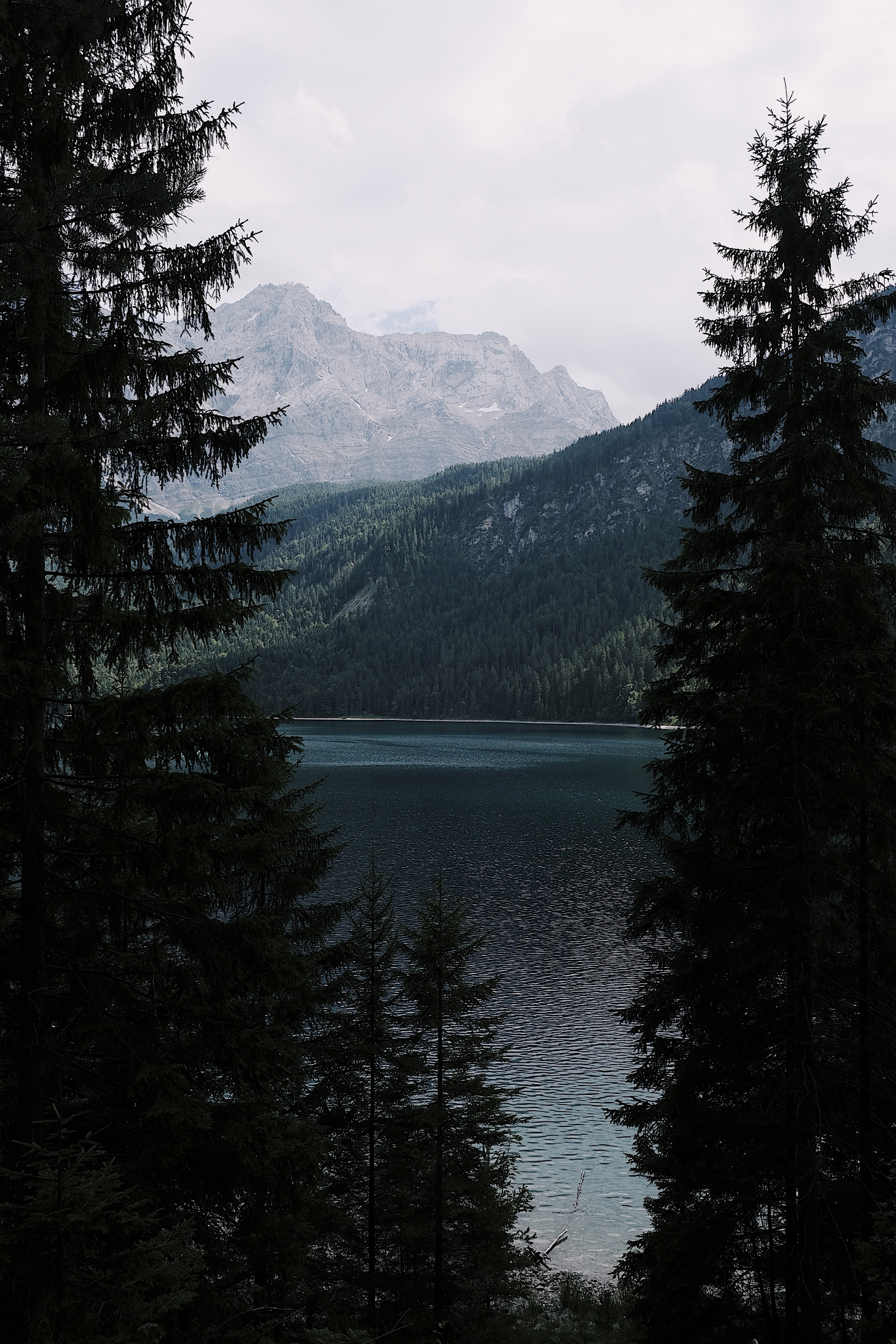 view through tall evergreen trees on a lake in the mountains, exploring lake eibsee 4k, Phone HD Wallpaper