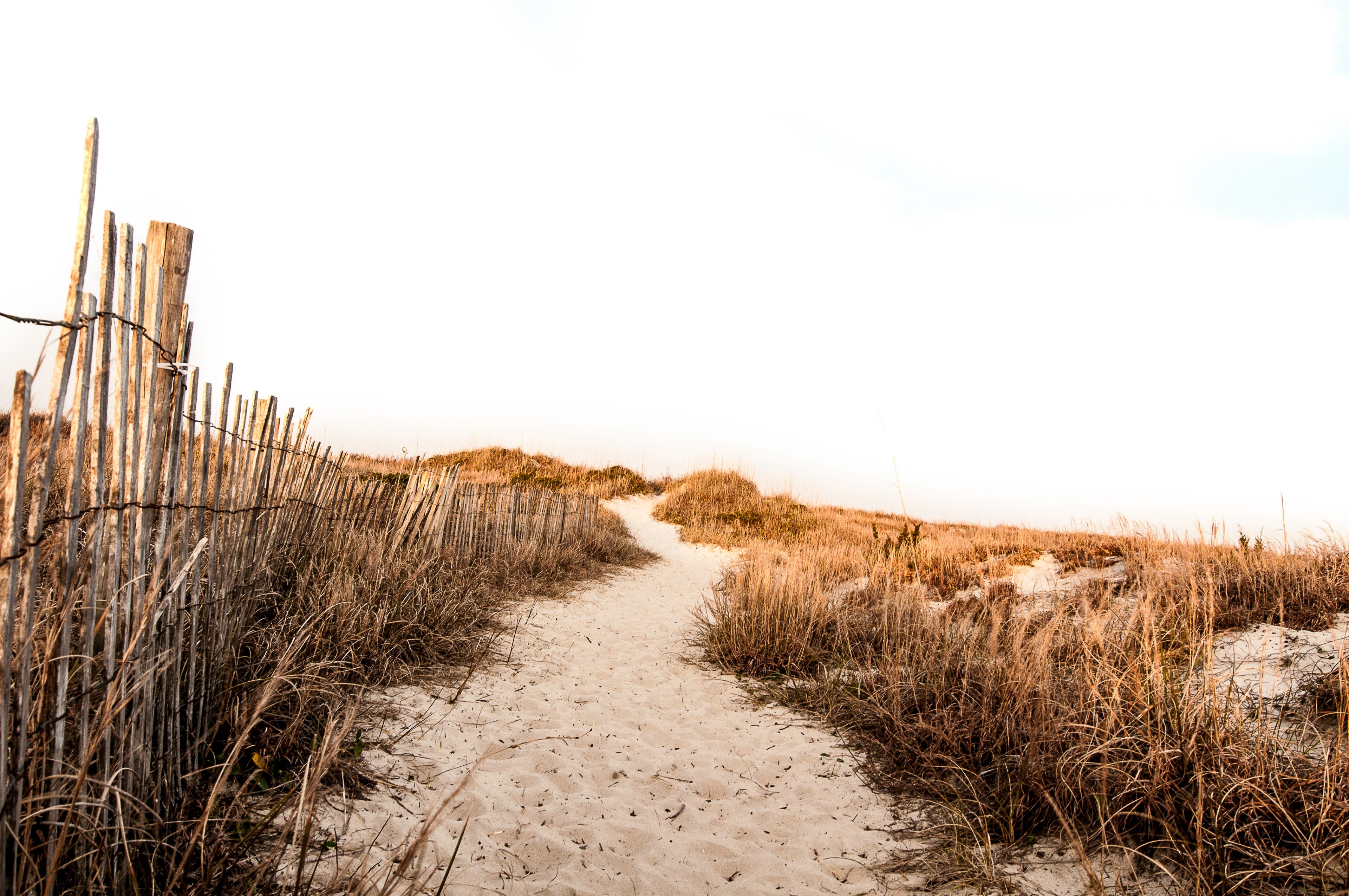 excellent landscape featuring sand dune and dry grass at atlantic beach, sandy atlantic beach 4k, HD Wallpaper
