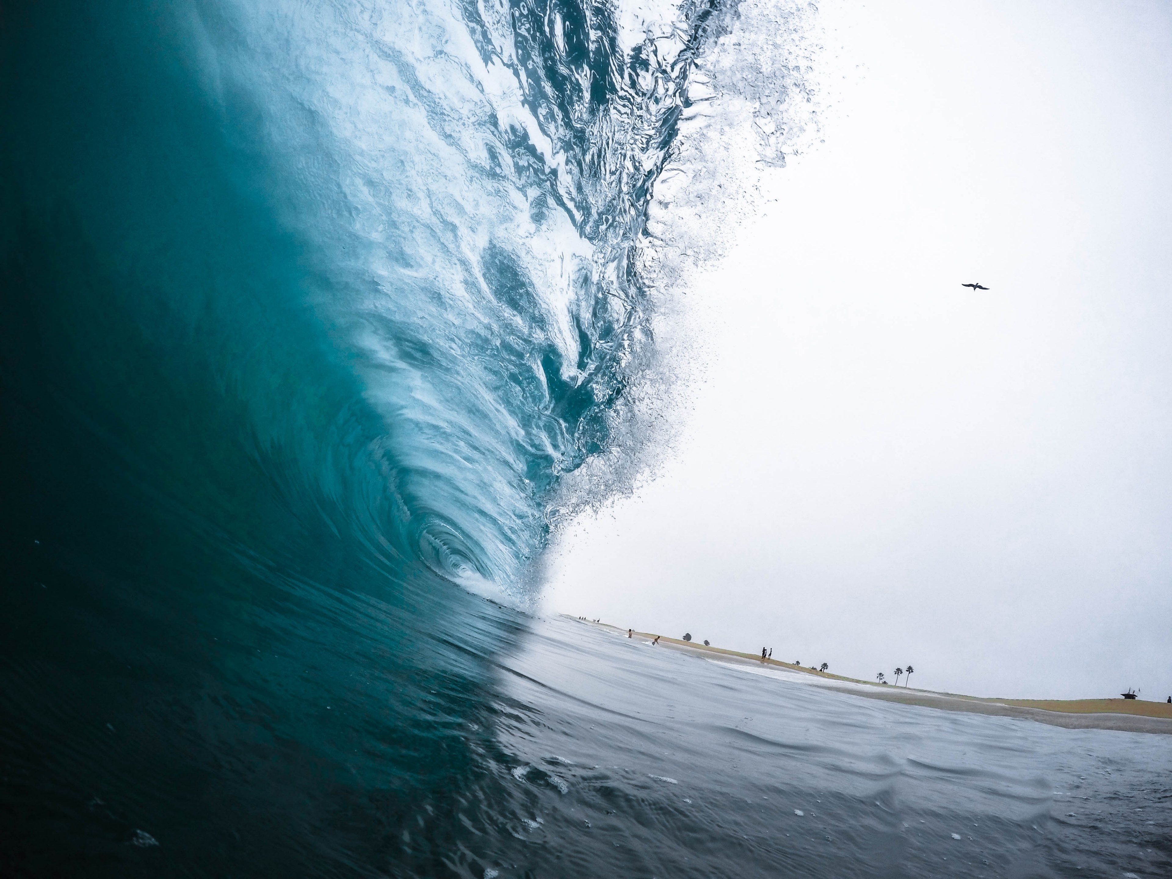 view of the surf wave at newport beach, half n half 4k, HD Wallpaper