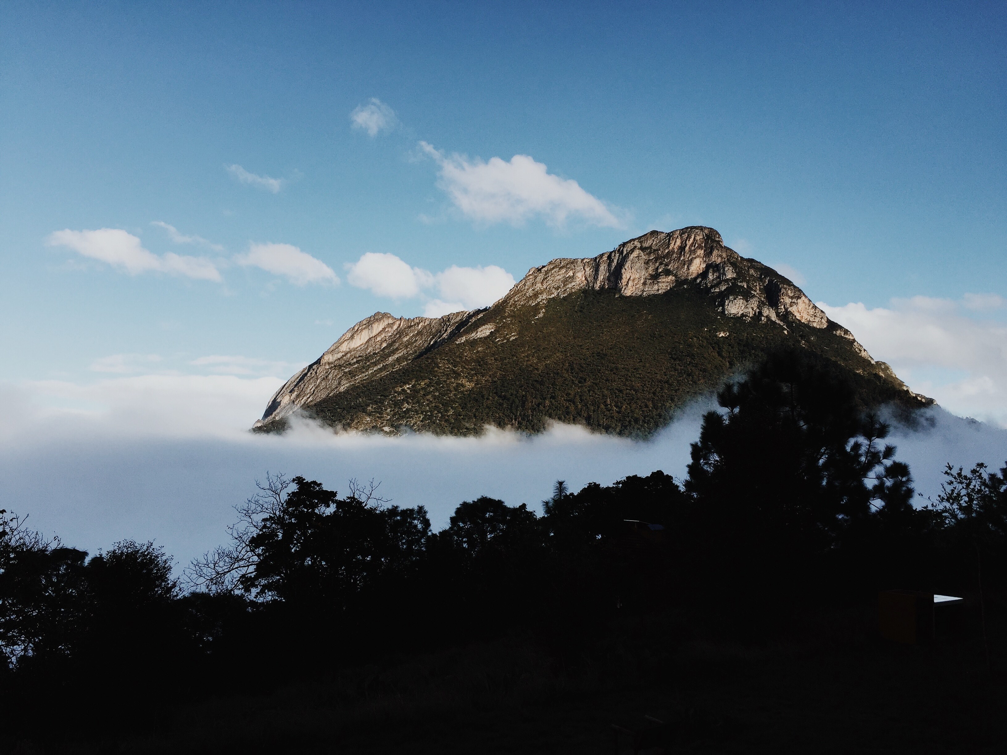 a rocky mountaintop emerging from a thick layer of fog at the foot of the mountain, towering island in the fog 4k, HD Wallpaper