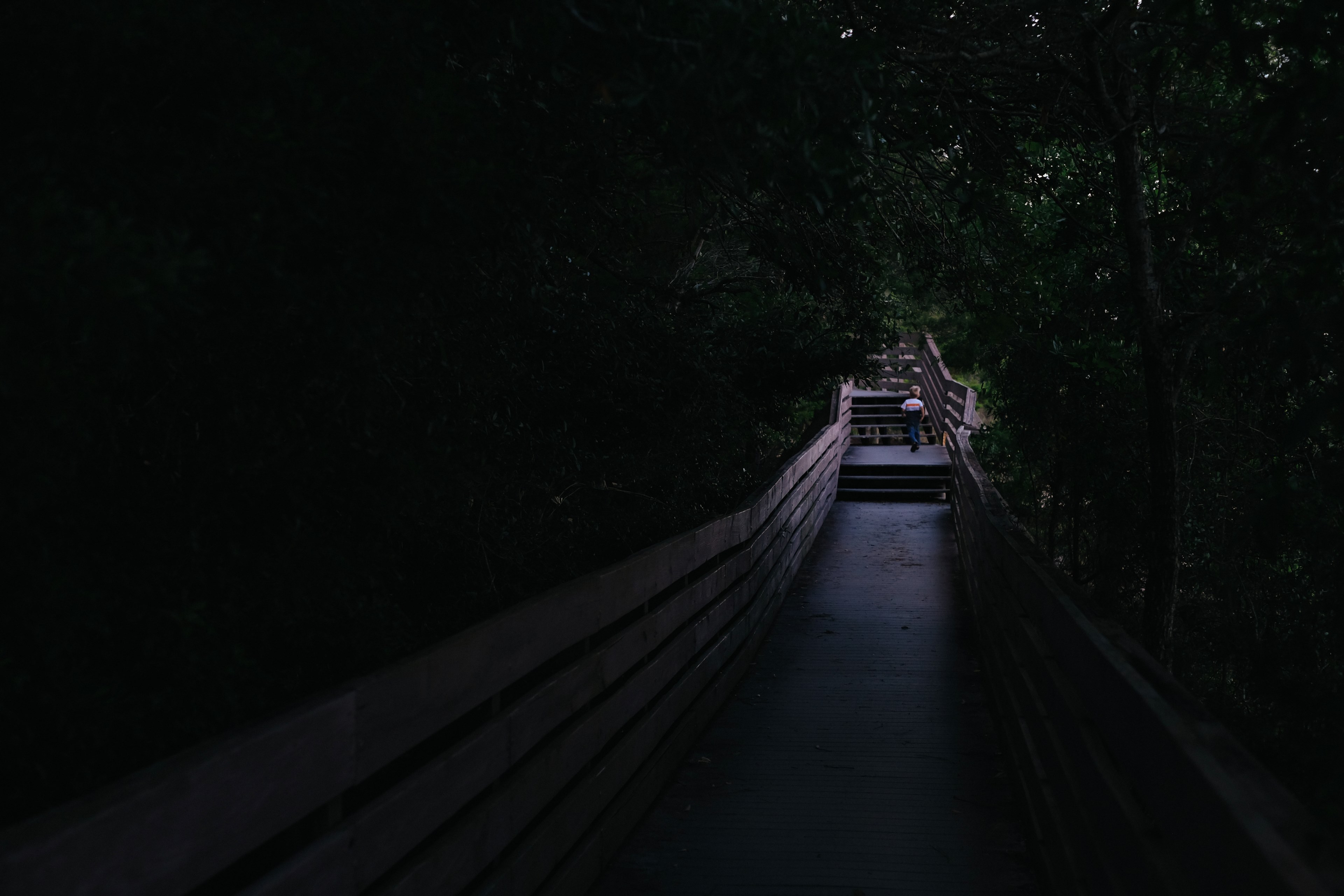 a person walking along a railed pathway at bay bluffs park in the middle of the night, little explorer life off screen 4k, HD Wallpaper