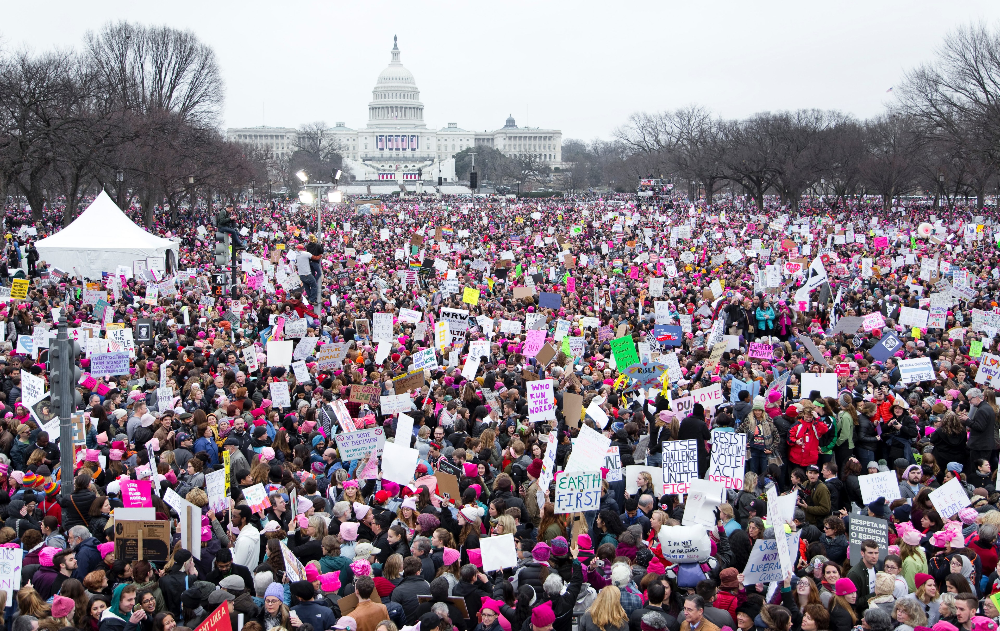 earth first protesting group, _womens march 2017 national mall 4k, HD Wallpaper