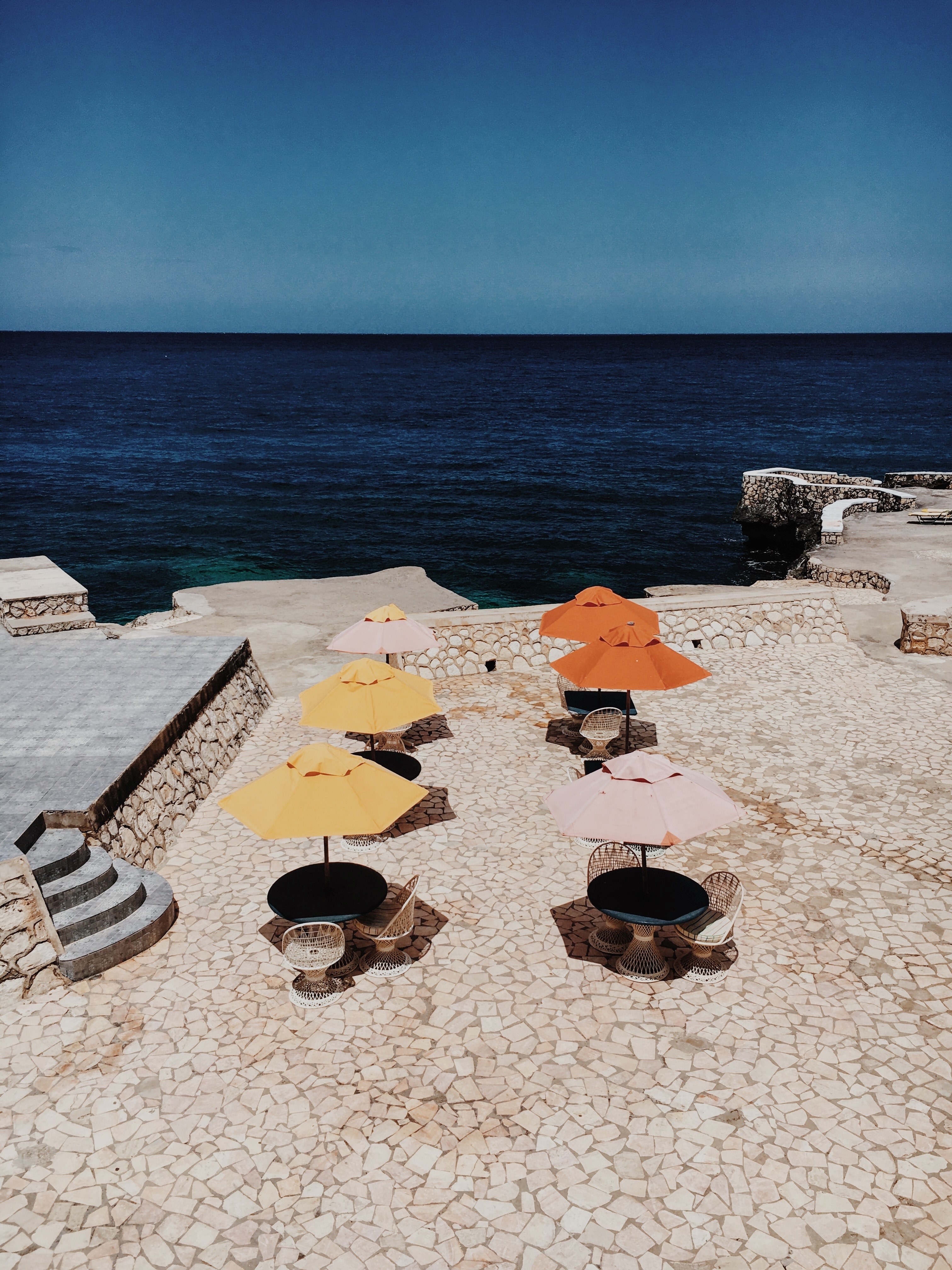 umbrellas in the wild 4k, Phone HD Wallpaper