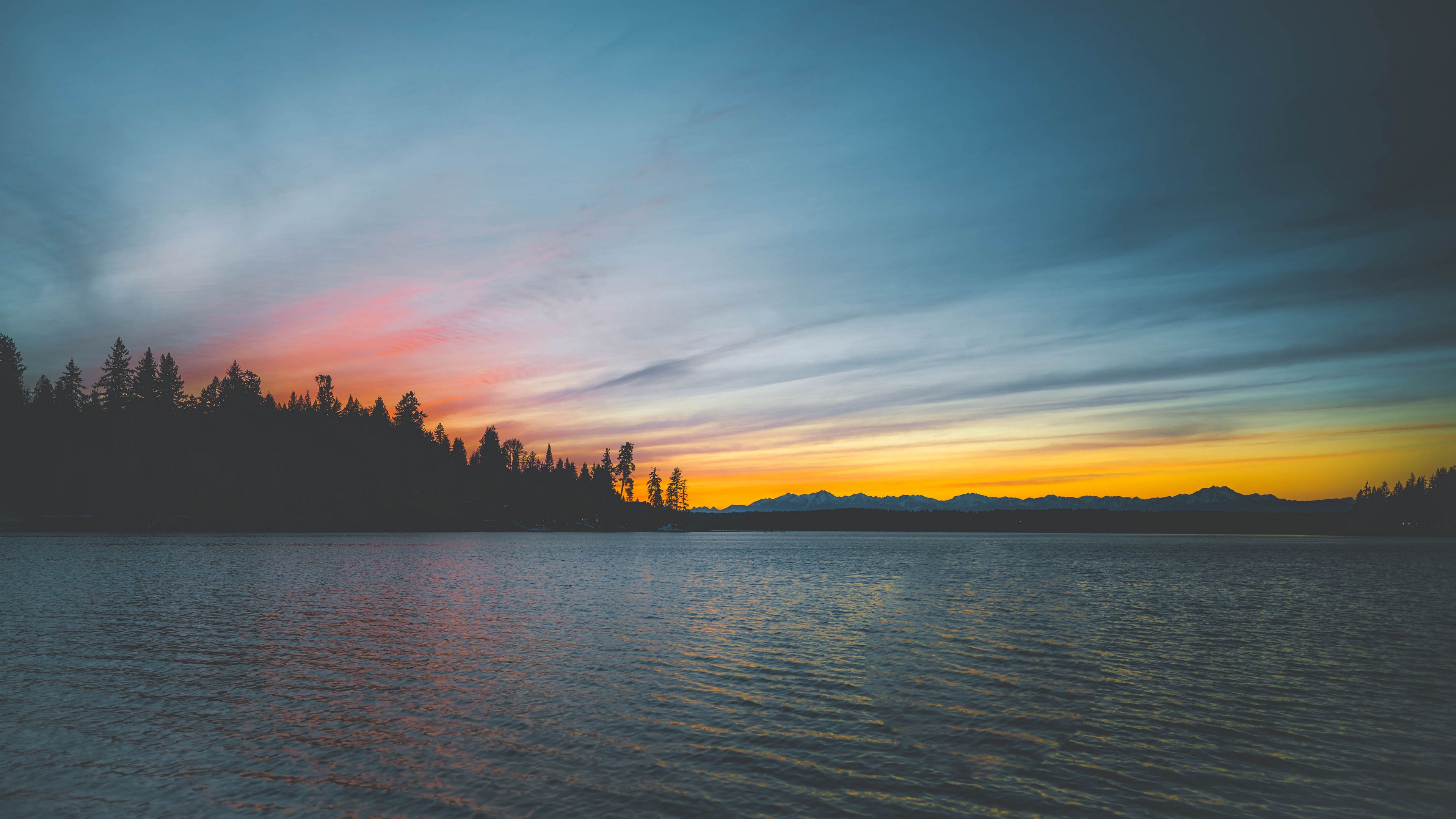 sea, sunset, trees, shore, 4k, HD Wallpaper