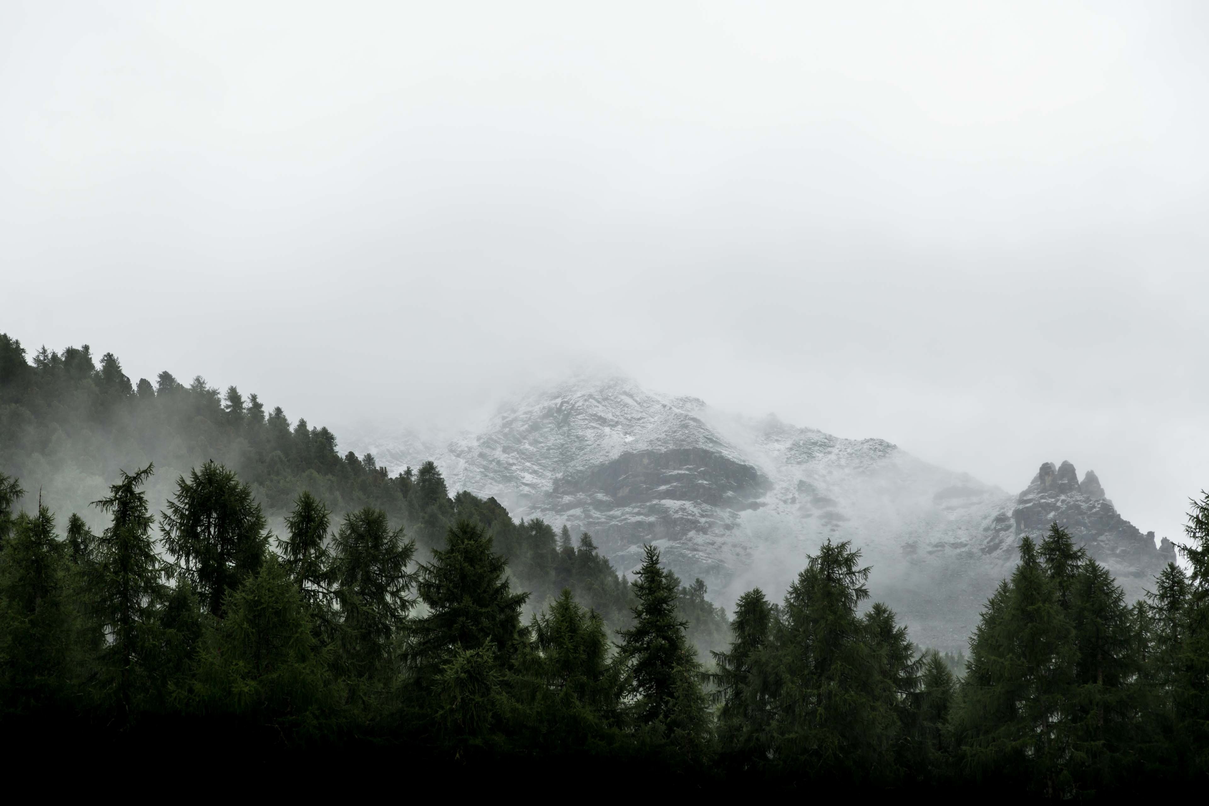 mist covering the snowy peaks and trees near the mountain village of pontresina grisons switzerland, misty mountain 4k, HD Wallpaper