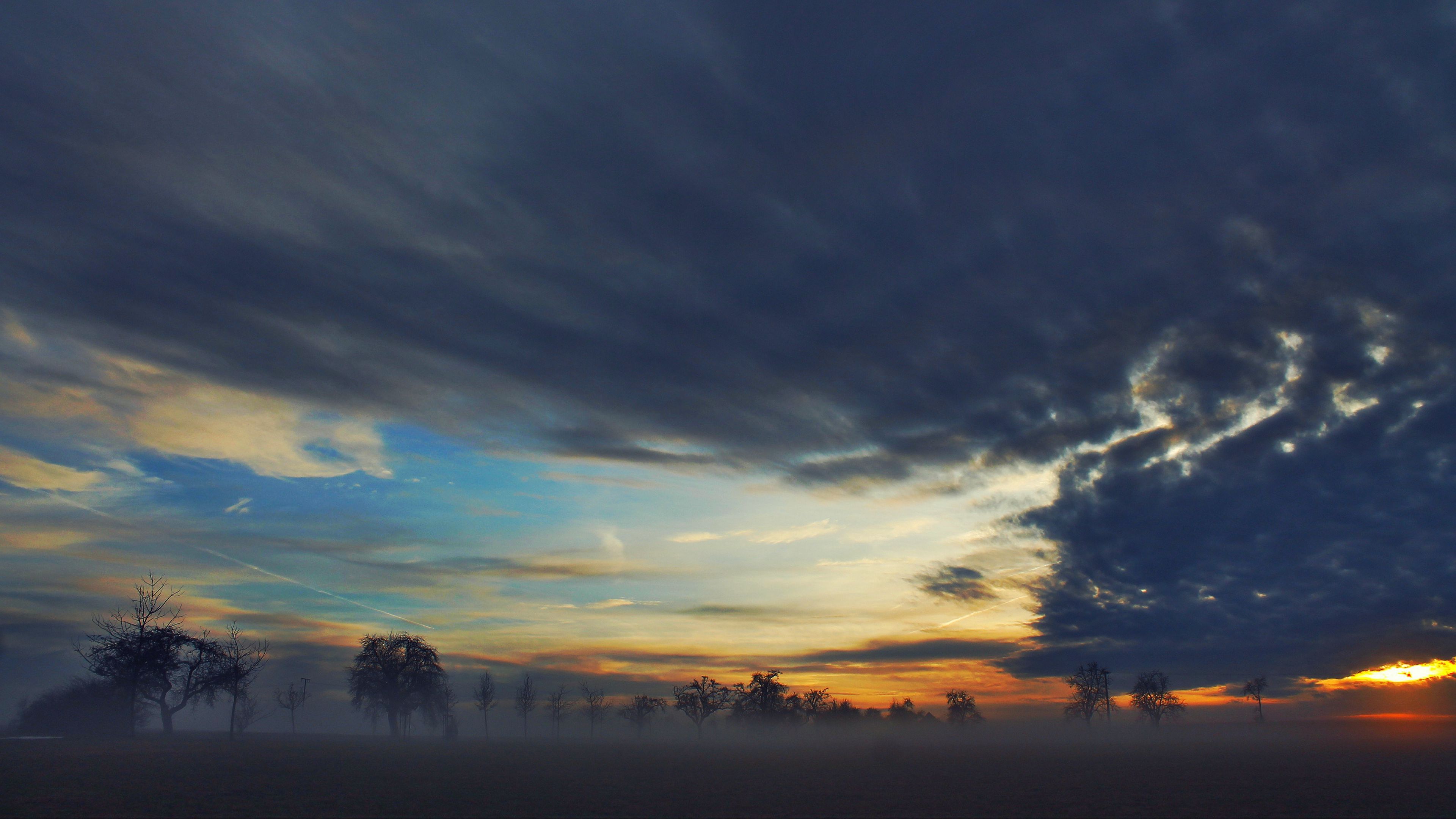 fog, trees, sky, clouds, 4k, HD Wallpaper