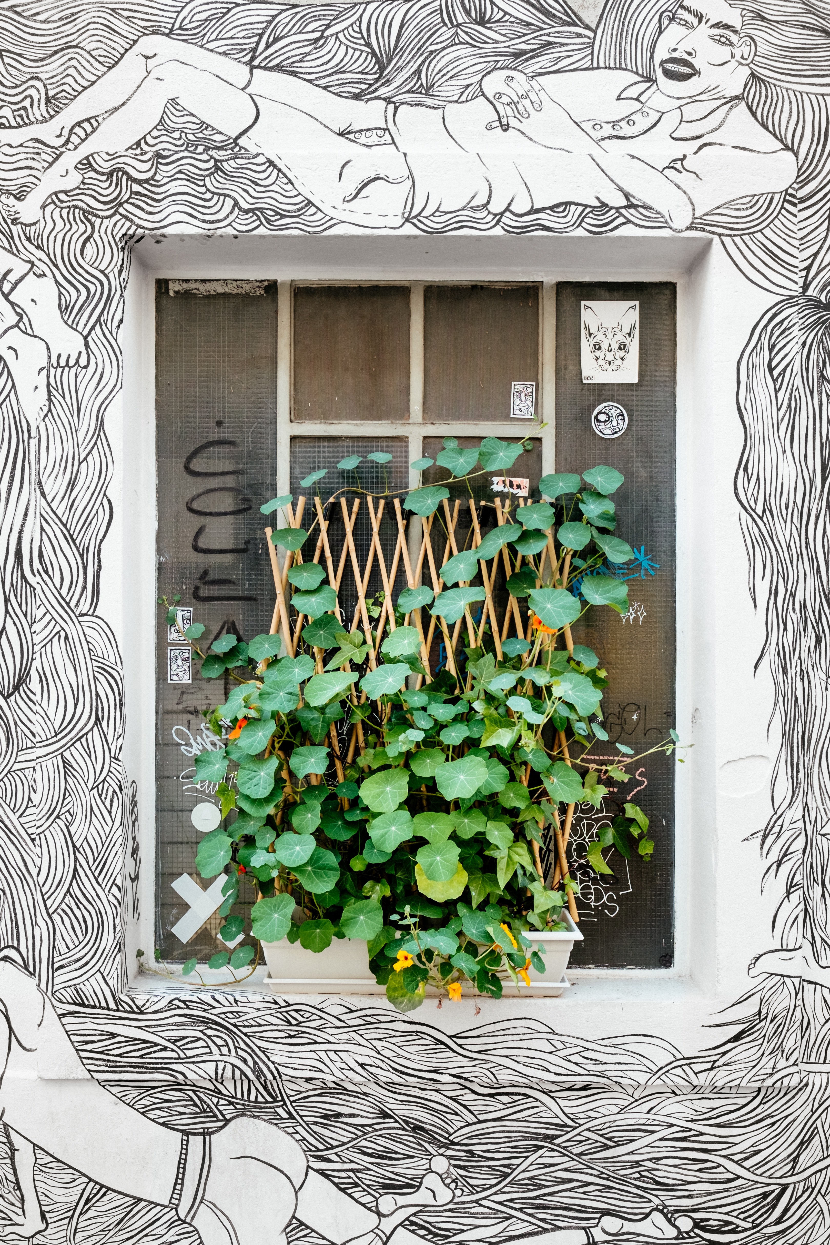 black and white graffiti surrounding urban window with potted green plant growing on ledge geneva, green plant and artwork 4k, Phone HD Wallpaper