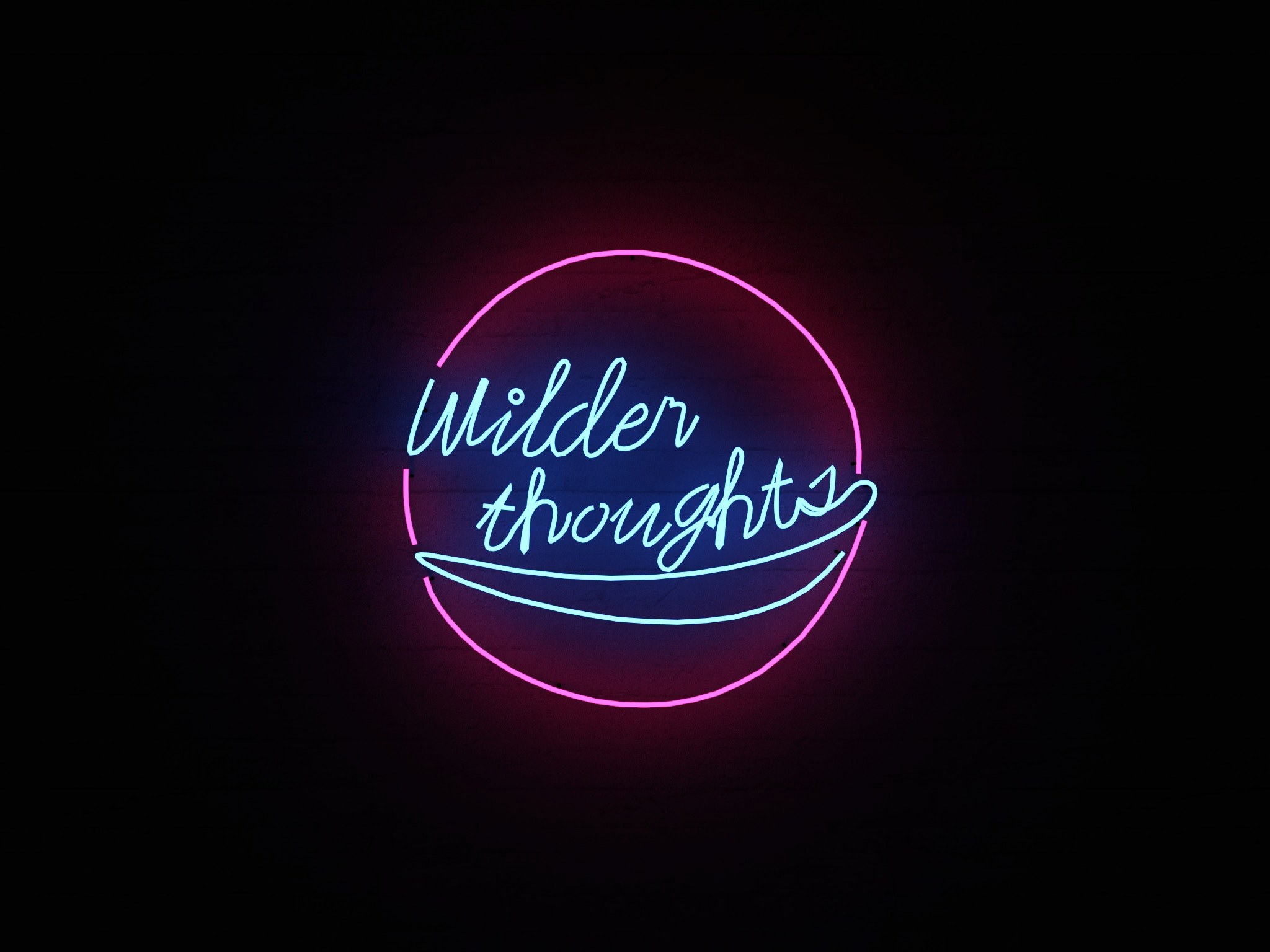 wilder thoughts 4k, HD Wallpaper