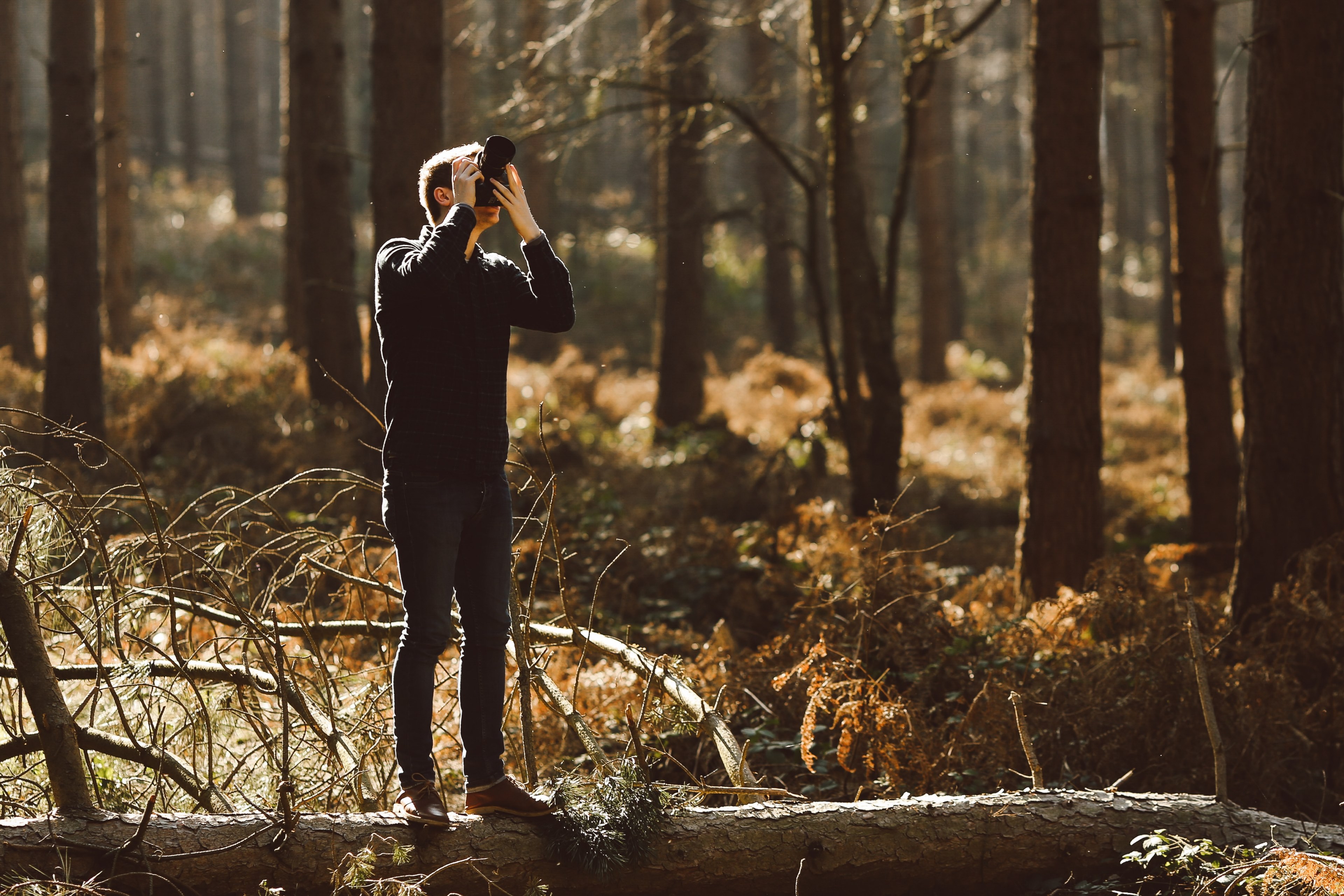 a person in dark clothing stands on a fallen tree in a forest taking a photo, photographer on location 4k, HD Wallpaper