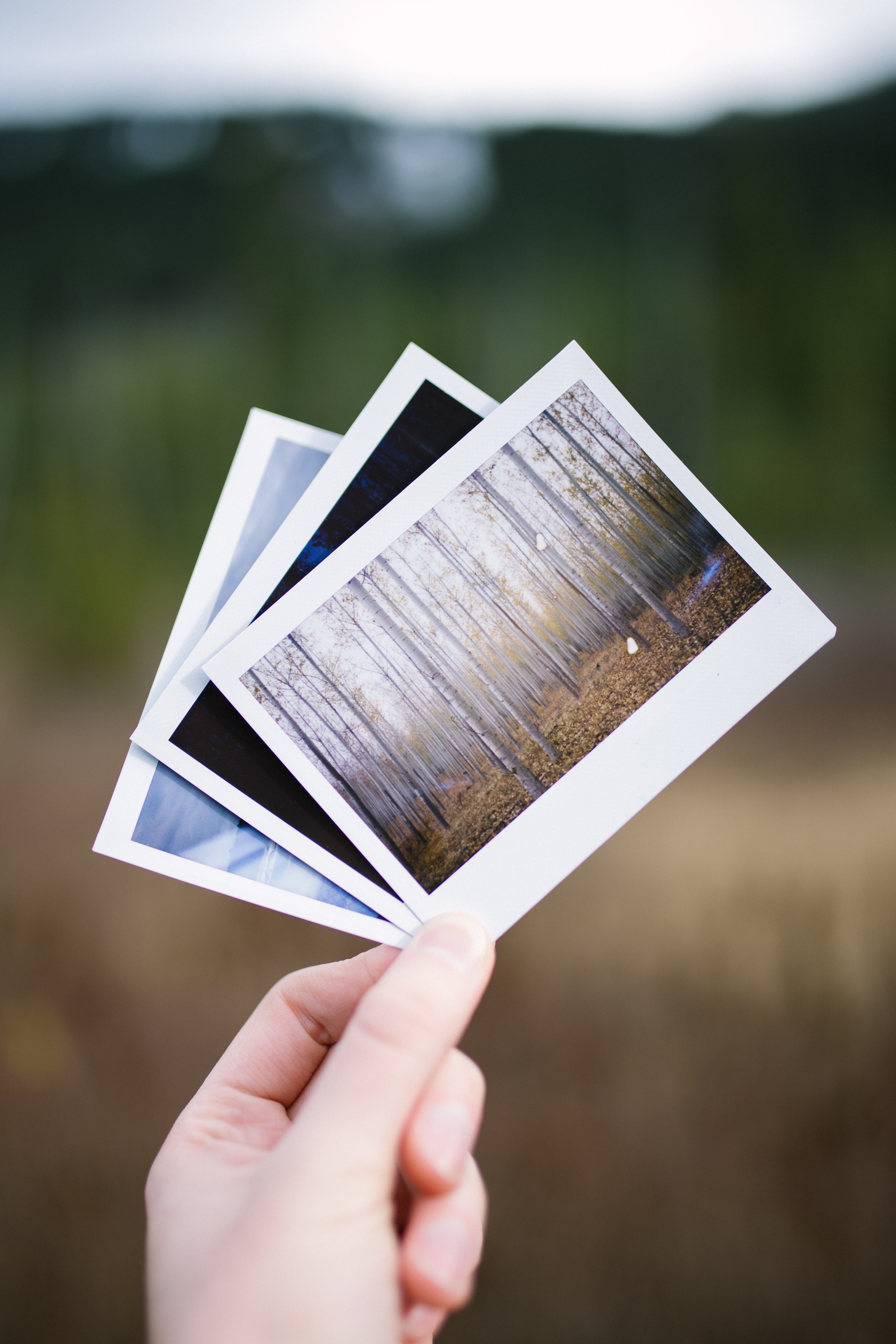 polaroids at mount hood 4k, Phone HD Wallpaper