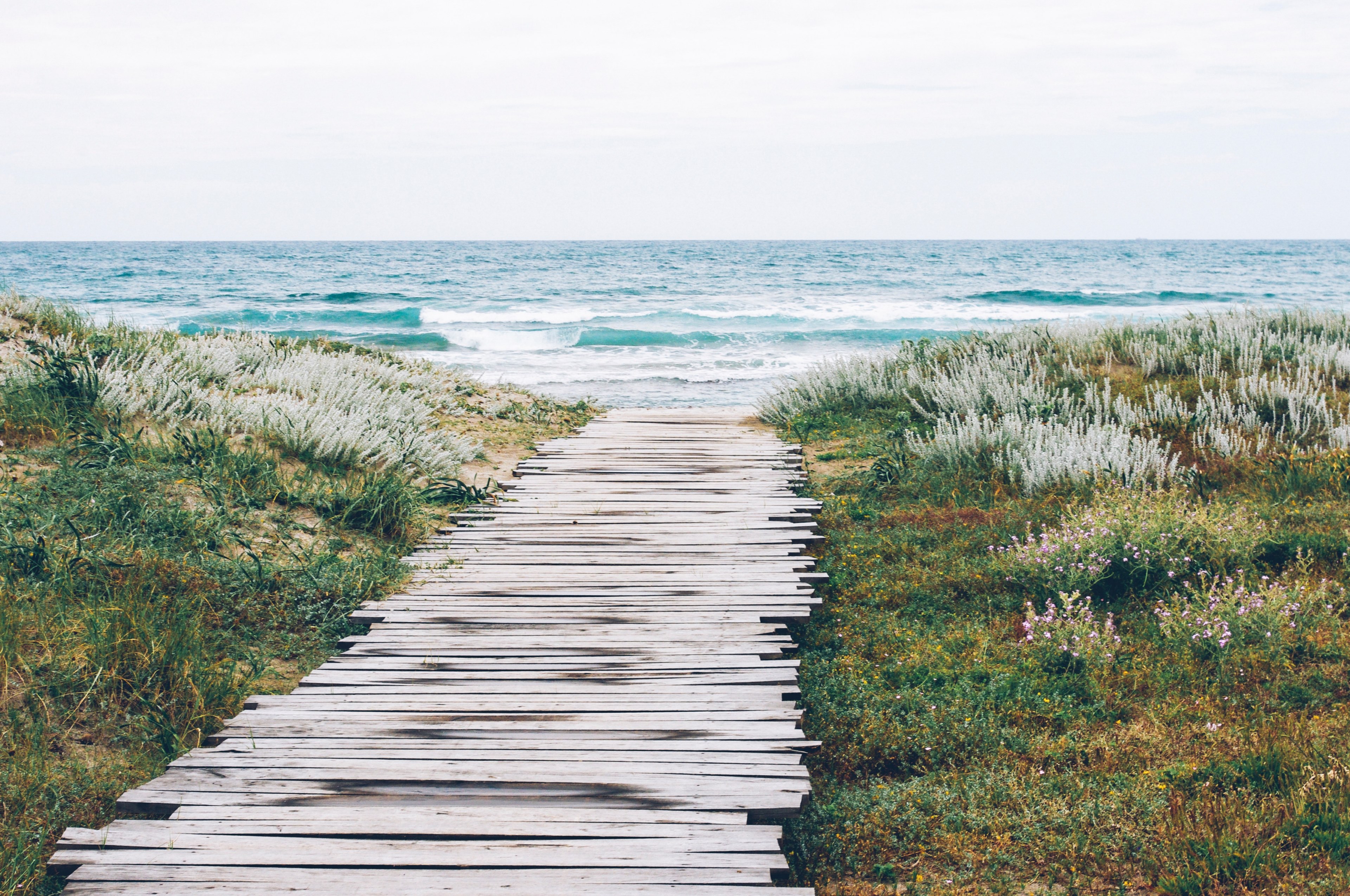 wooden path through the grass toward the ocean beach, wooden path to the beach 4k, HD Wallpaper