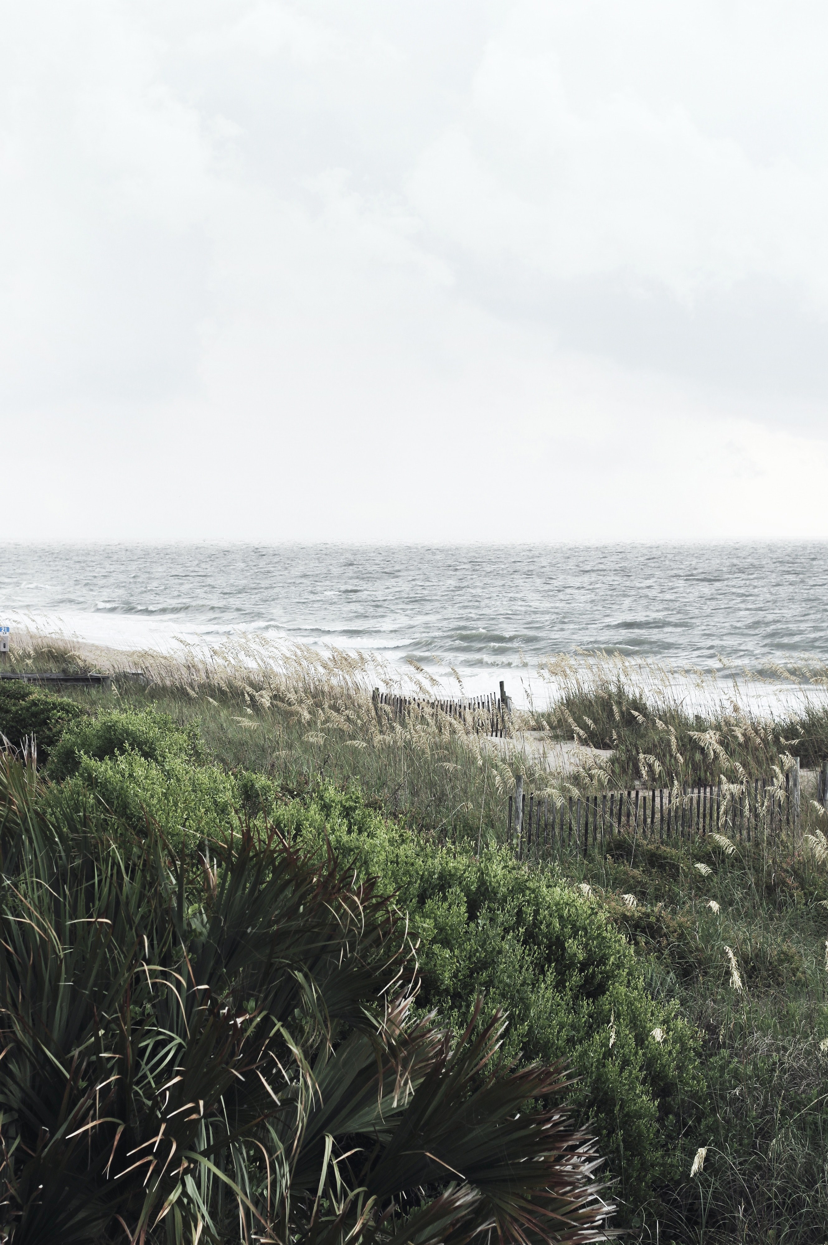 coastline costal coast and ocean hd, 4k, Phone HD Wallpaper