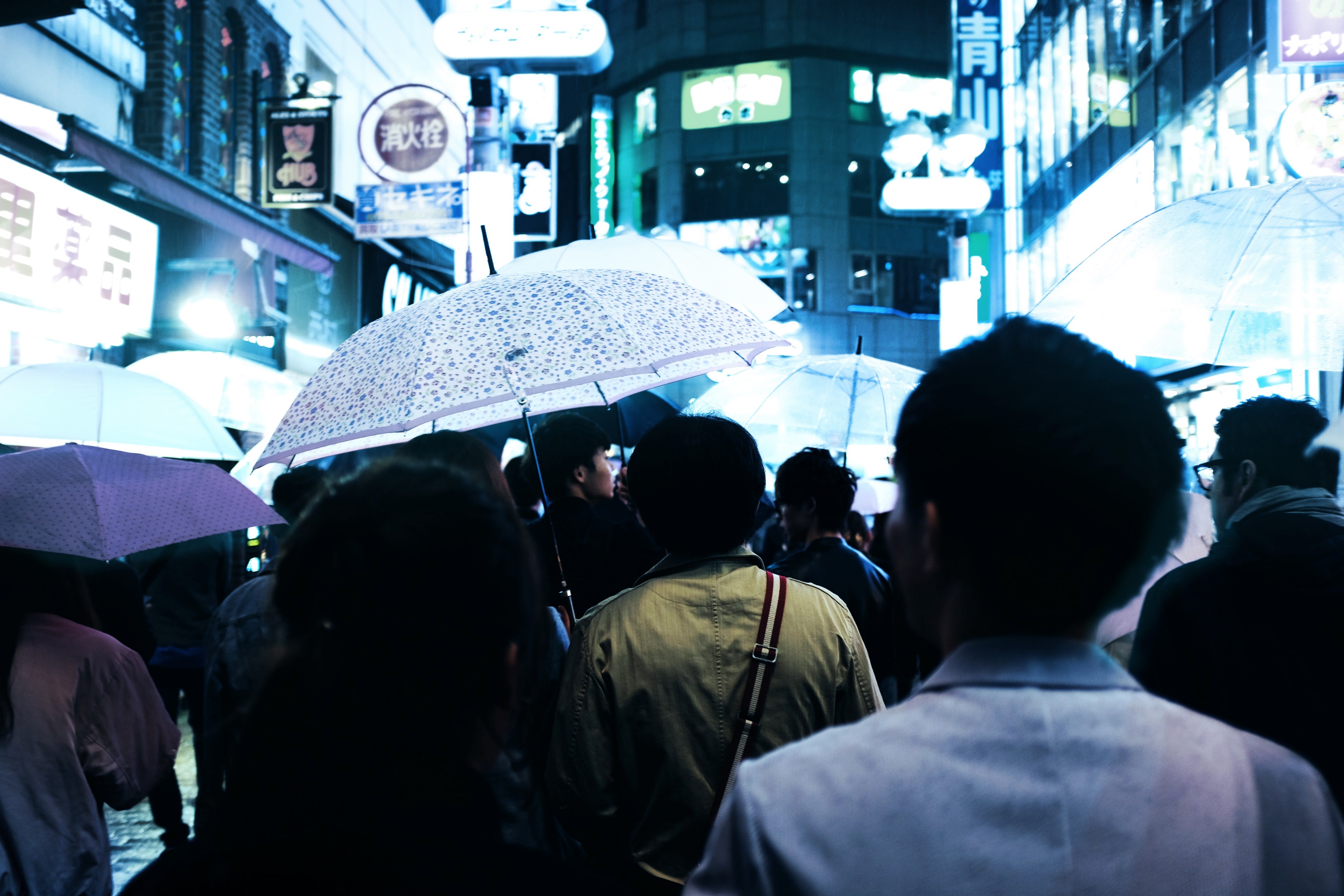 pedestrians with umbrellas in a well lit street in tokyos shibuya district, crowd holding umbrellas 4k, HD Wallpaper