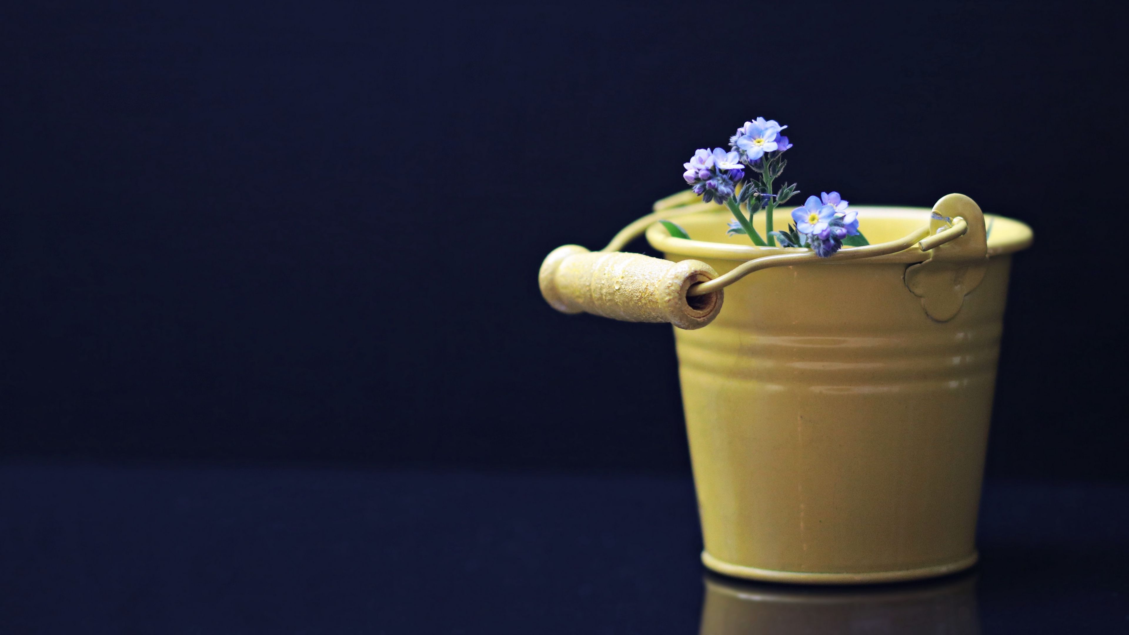 flowers, bucket, decorative, 4k, HD Wallpaper