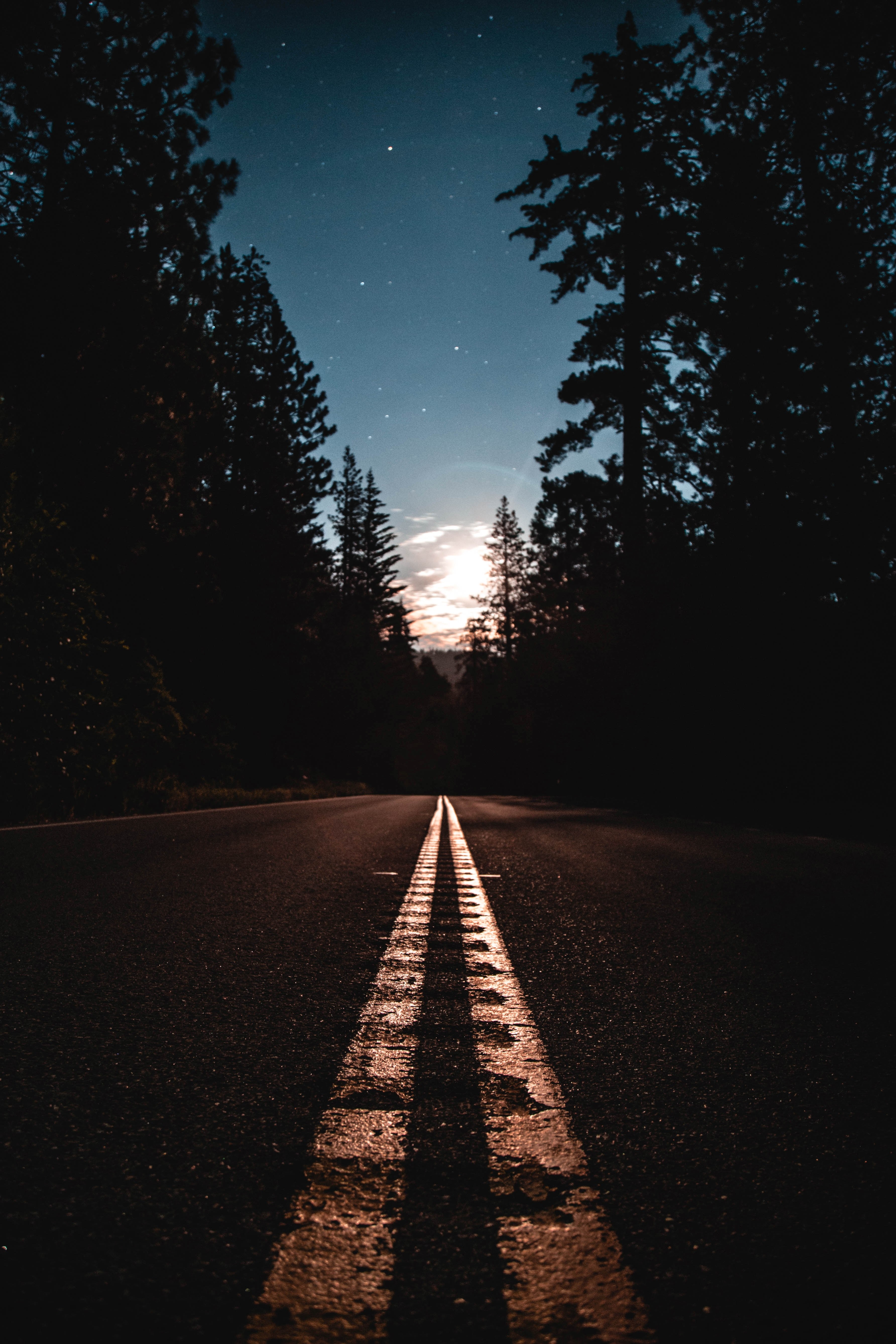 midnight in yosemite valley 4k, Phone HD Wallpaper