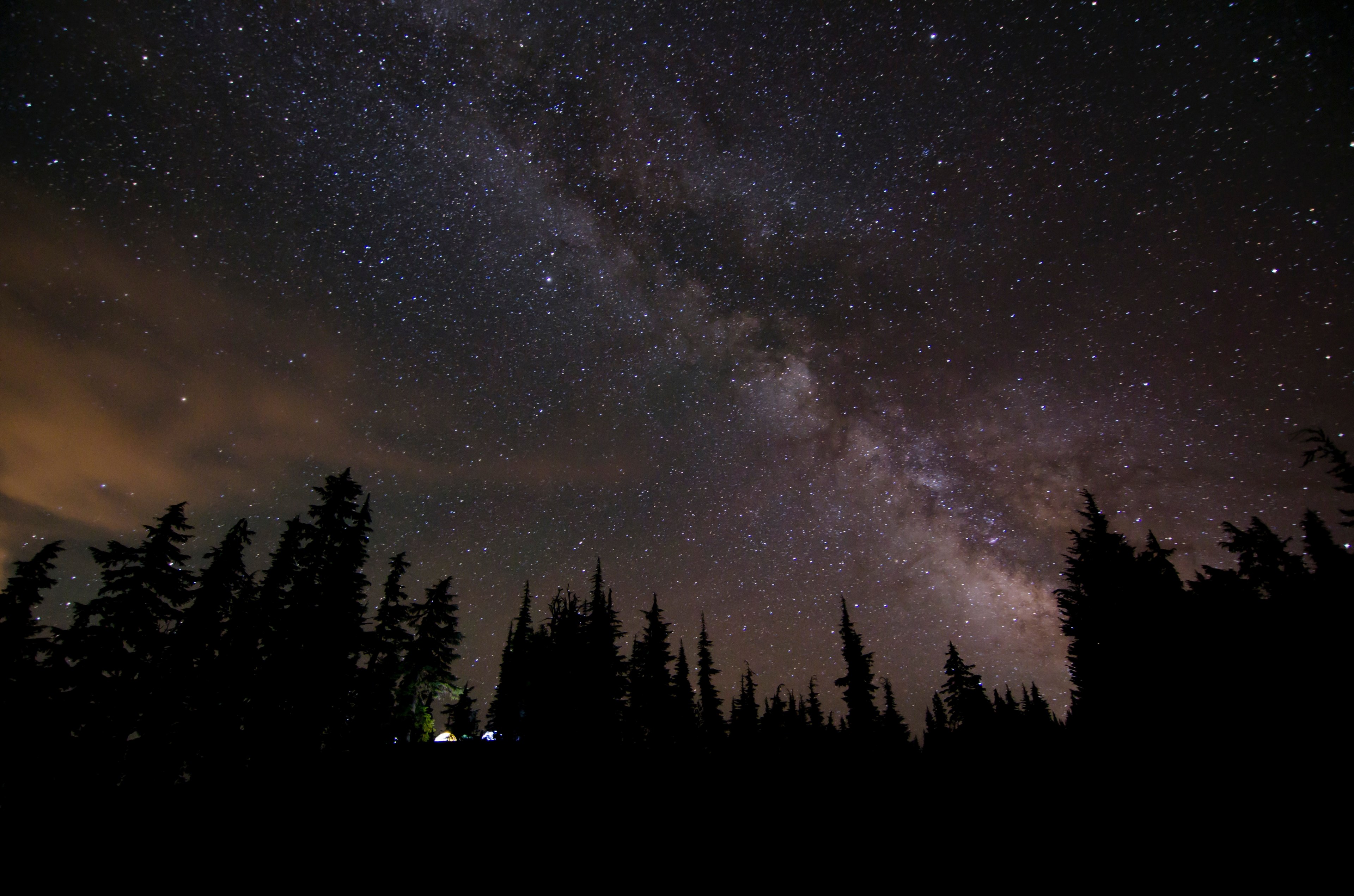 silhouettes of evergreen trees and lights from tents under a starry sky, starry nebula over a forest 4k, HD Wallpaper
