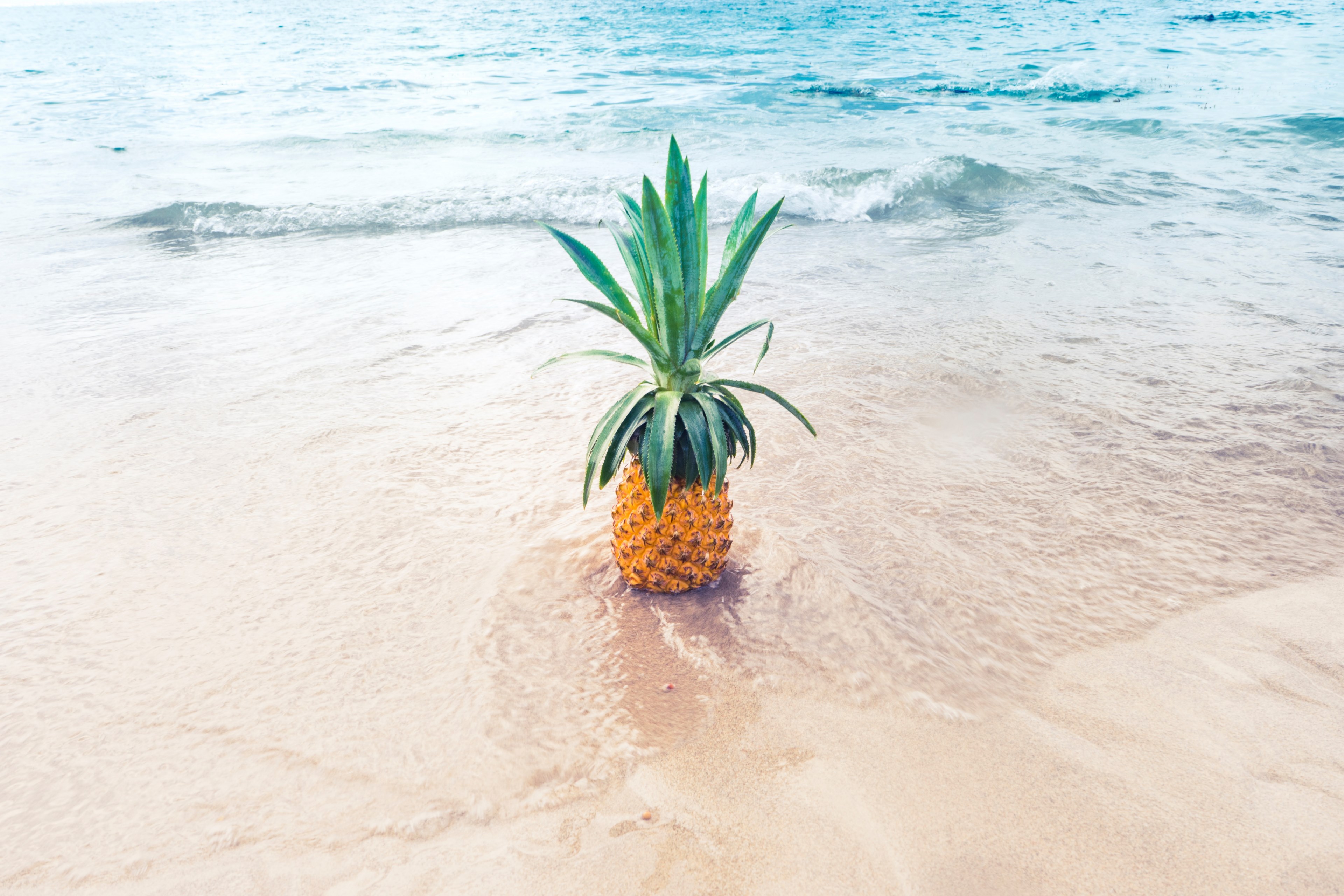 a pineapple on the beach with tidewwater, _happy pineapple 4k, HD Wallpaper