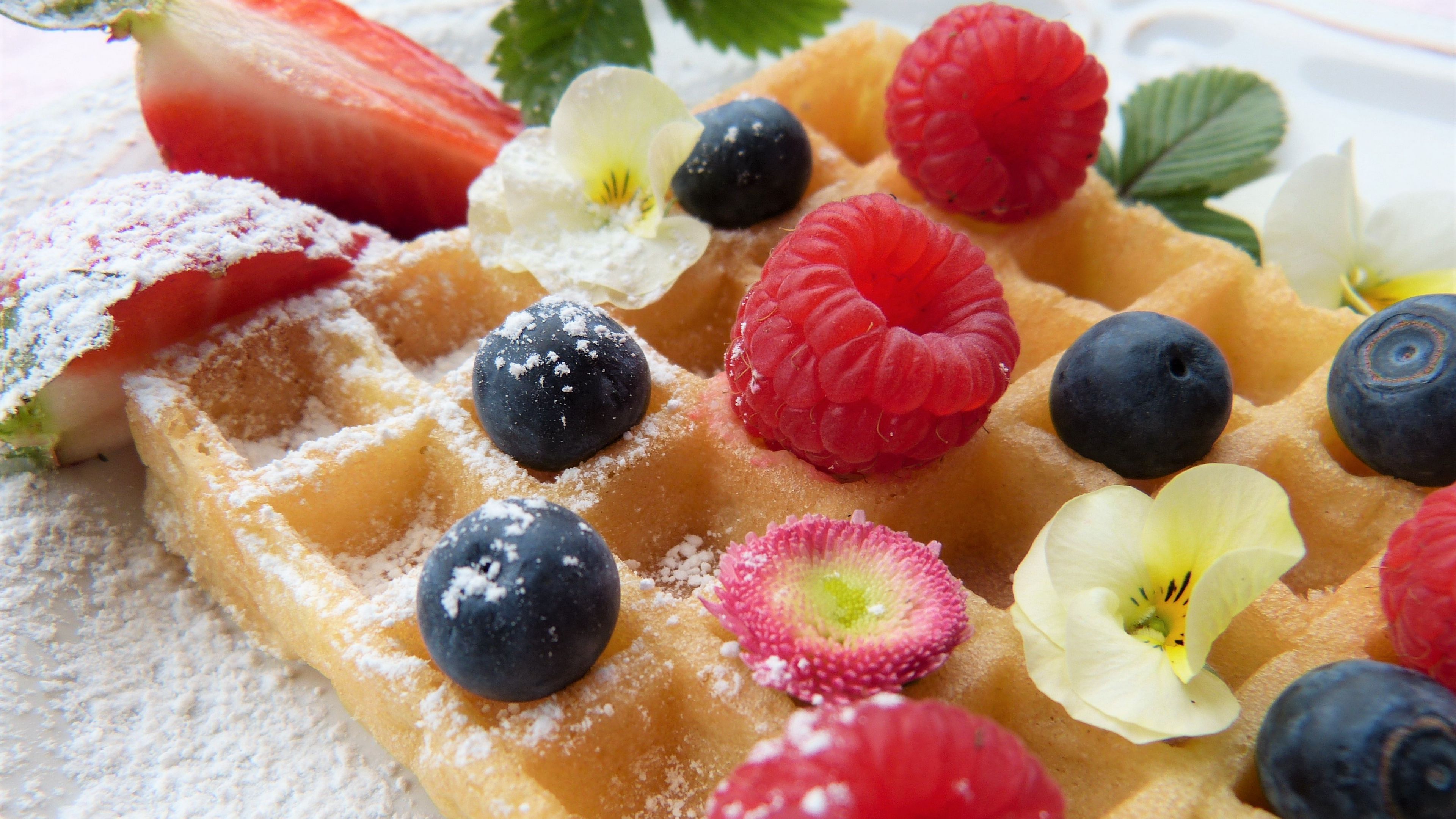 waffle, raspberry, blueberry, powder, 4k, HD Wallpaper