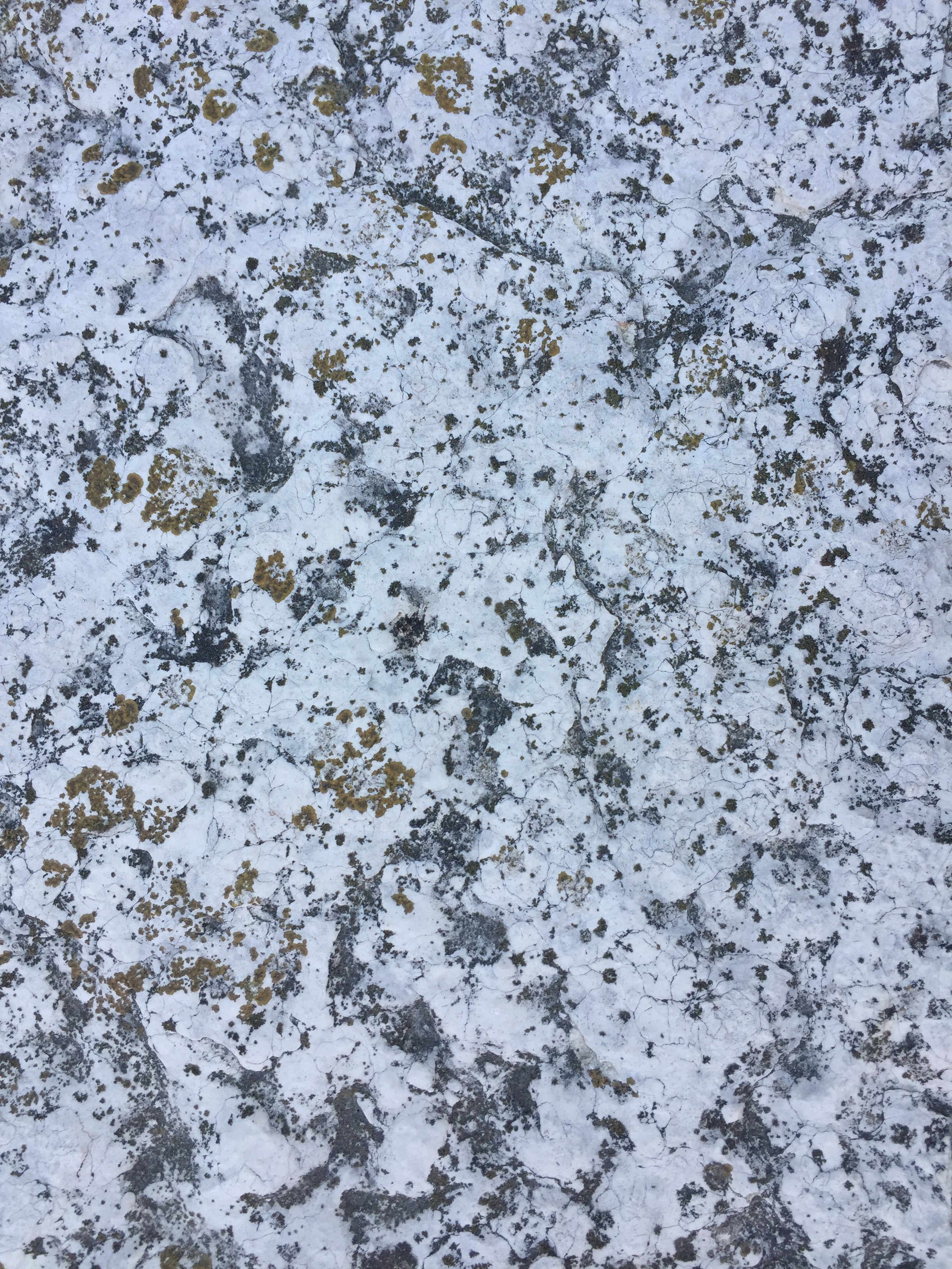 textures dinbspvenezia 20 4k, Phone HD Wallpaper
