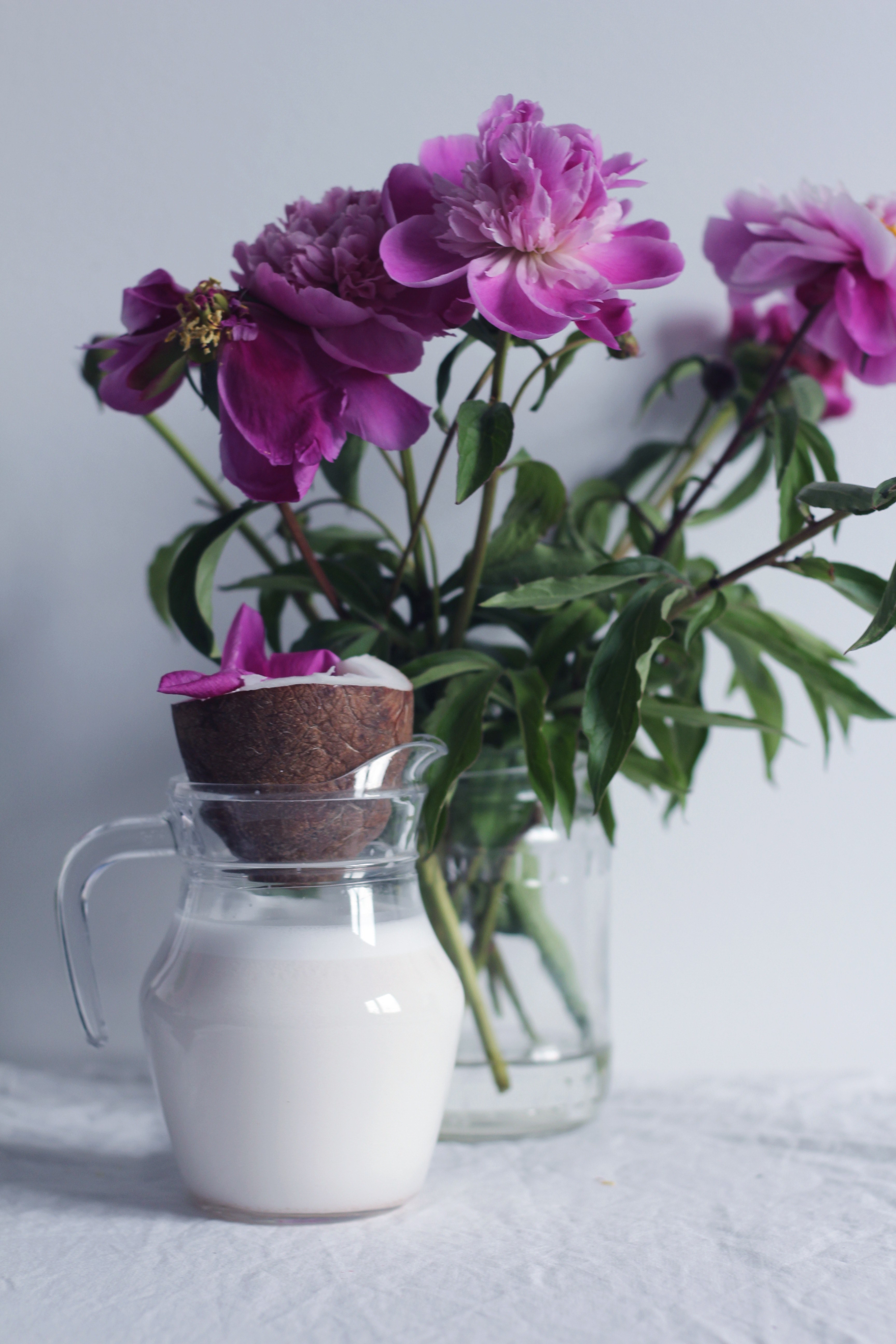 vegan coconut milk coconut and flower hd, 4k, Phone HD Wallpaper