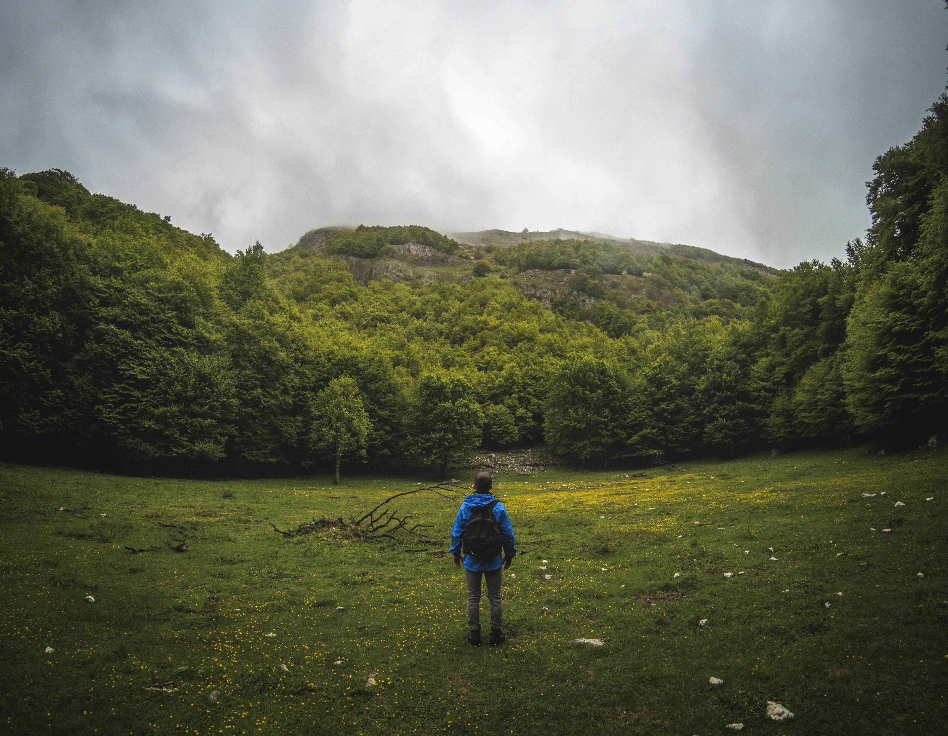 a male backpacker standing in the middle of a green glade and looking at the forest on a steep slope, lost peak 4k, HD Wallpaper