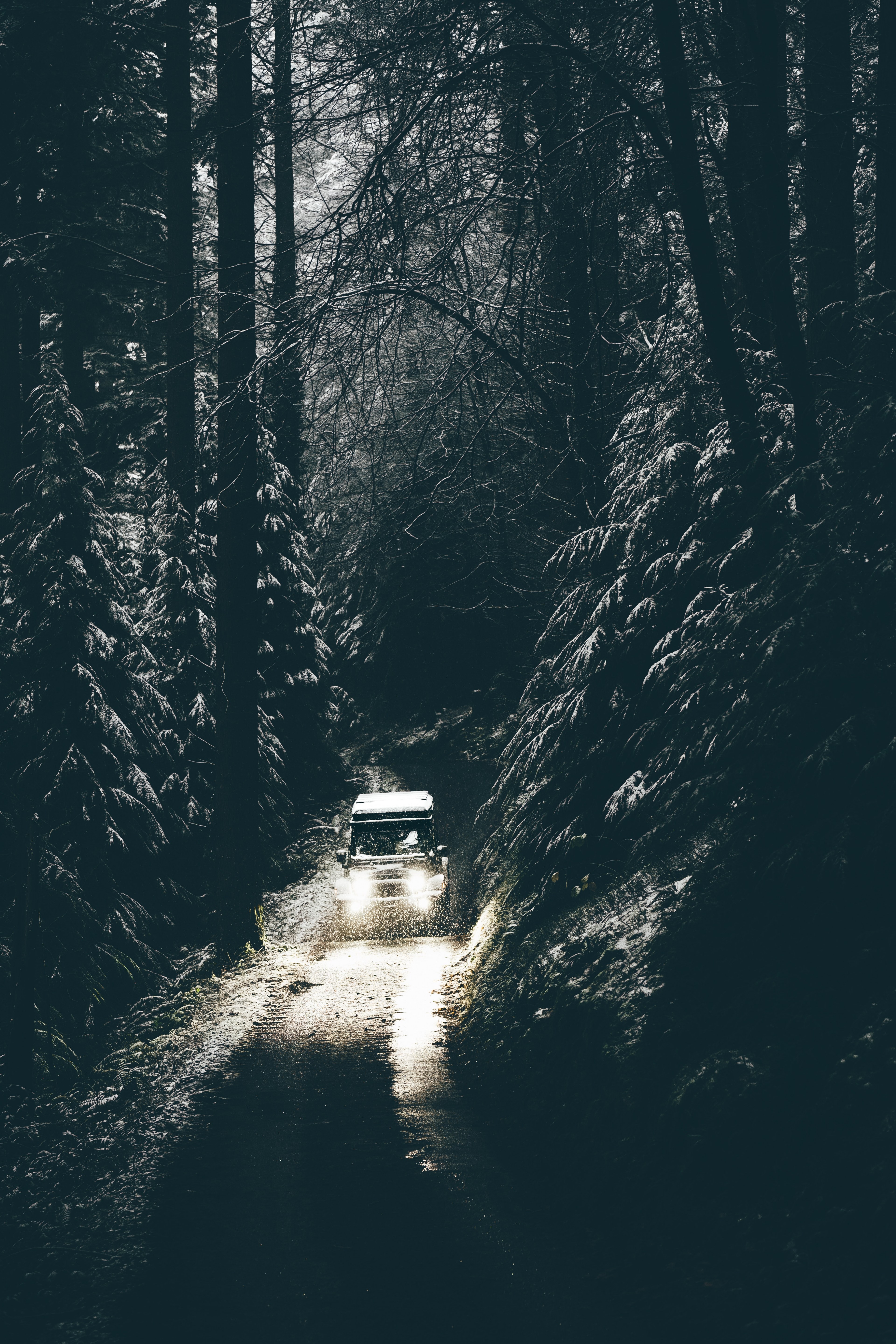 out of darkness 4k, Phone HD Wallpaper