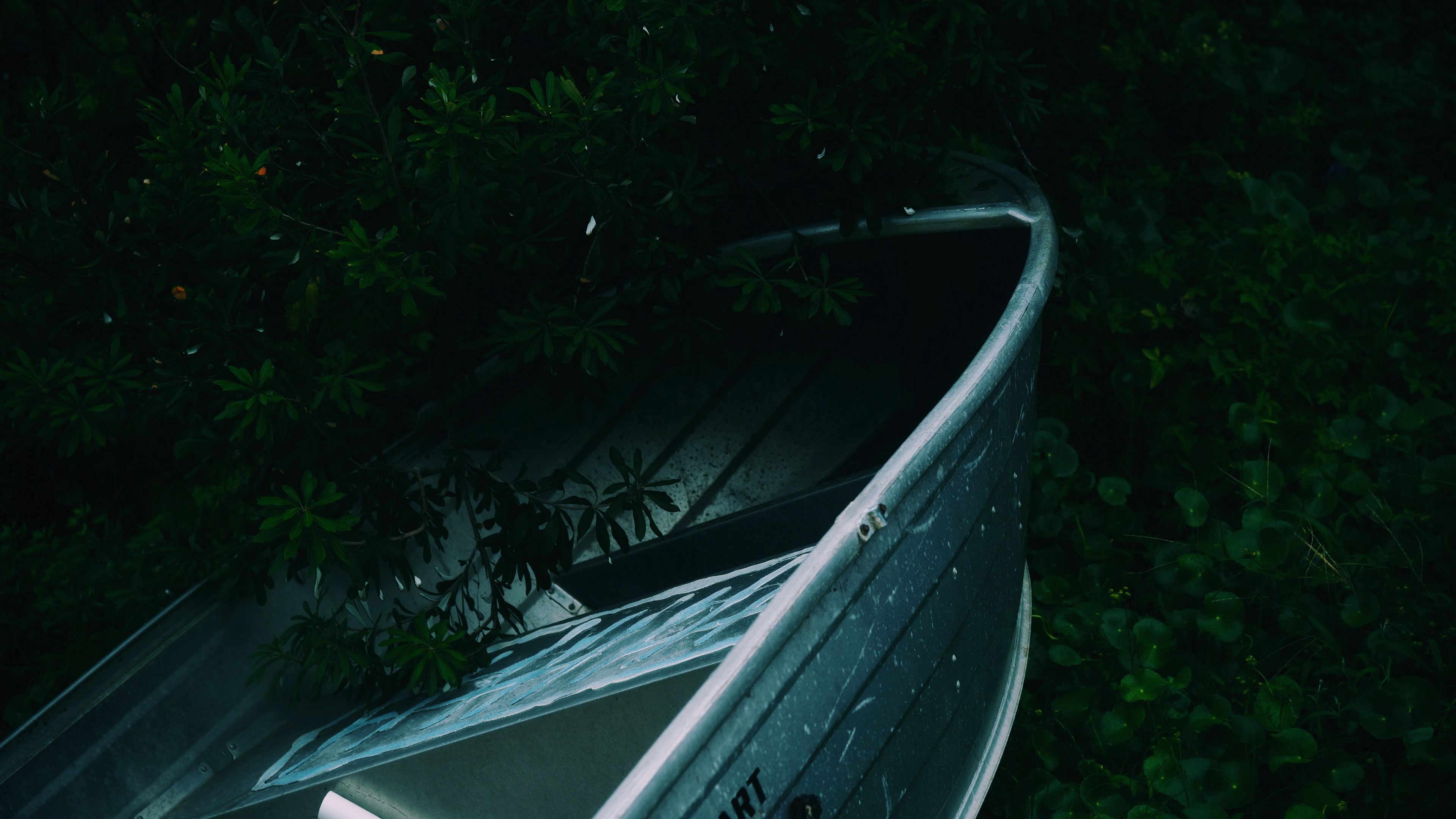 boat, plants, branches, dark, 4k, HD Wallpaper