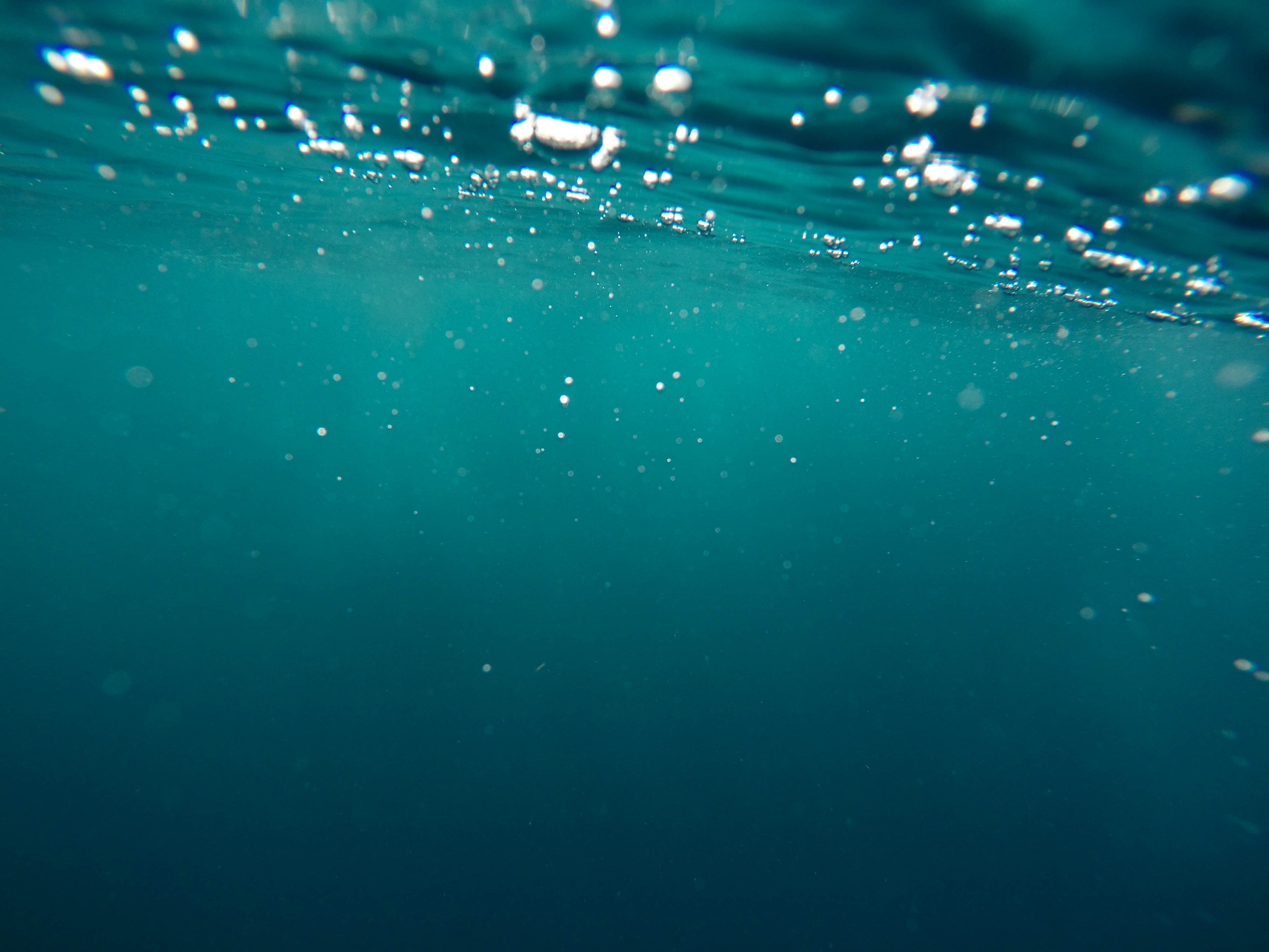 an image taken underwater, _underwater image 4k, HD Wallpaper