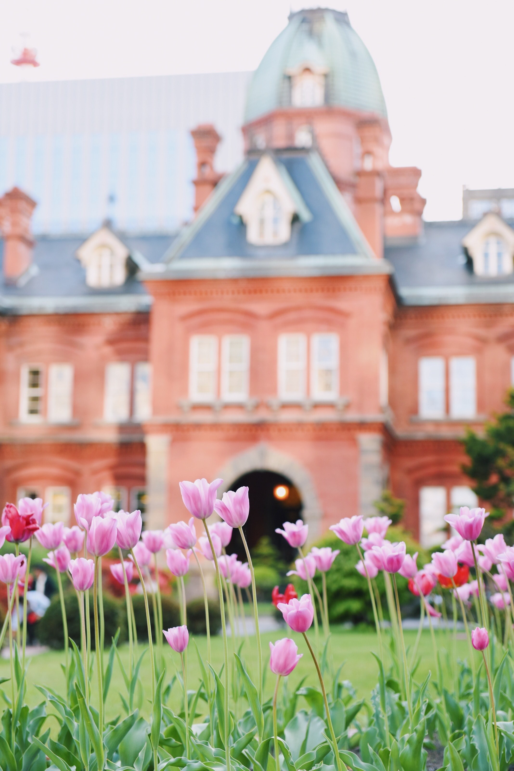 former hokkaido government office building 4k, Phone HD Wallpaper