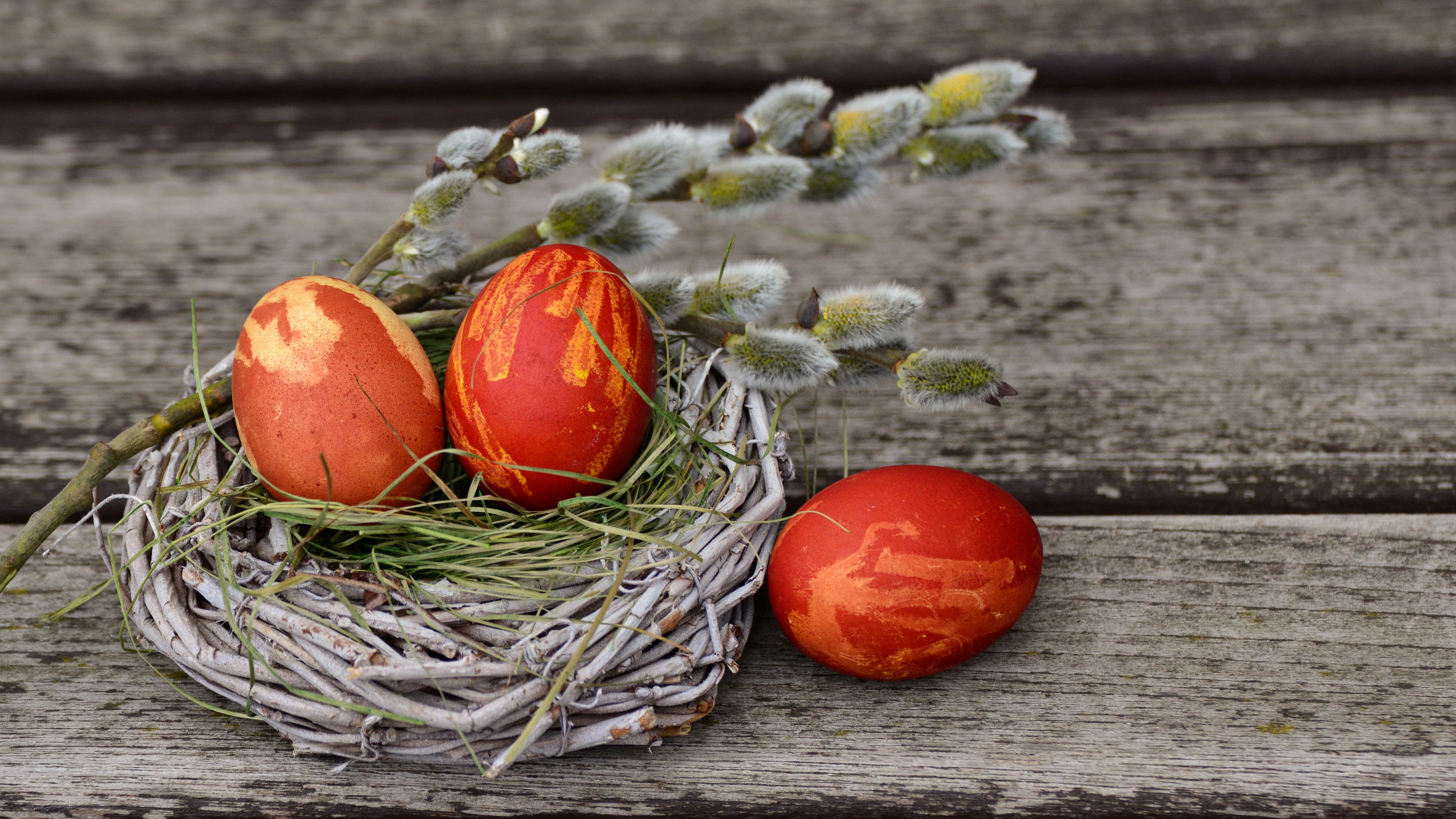 eggs, easter, willow, decorating, 4k, HD Wallpaper