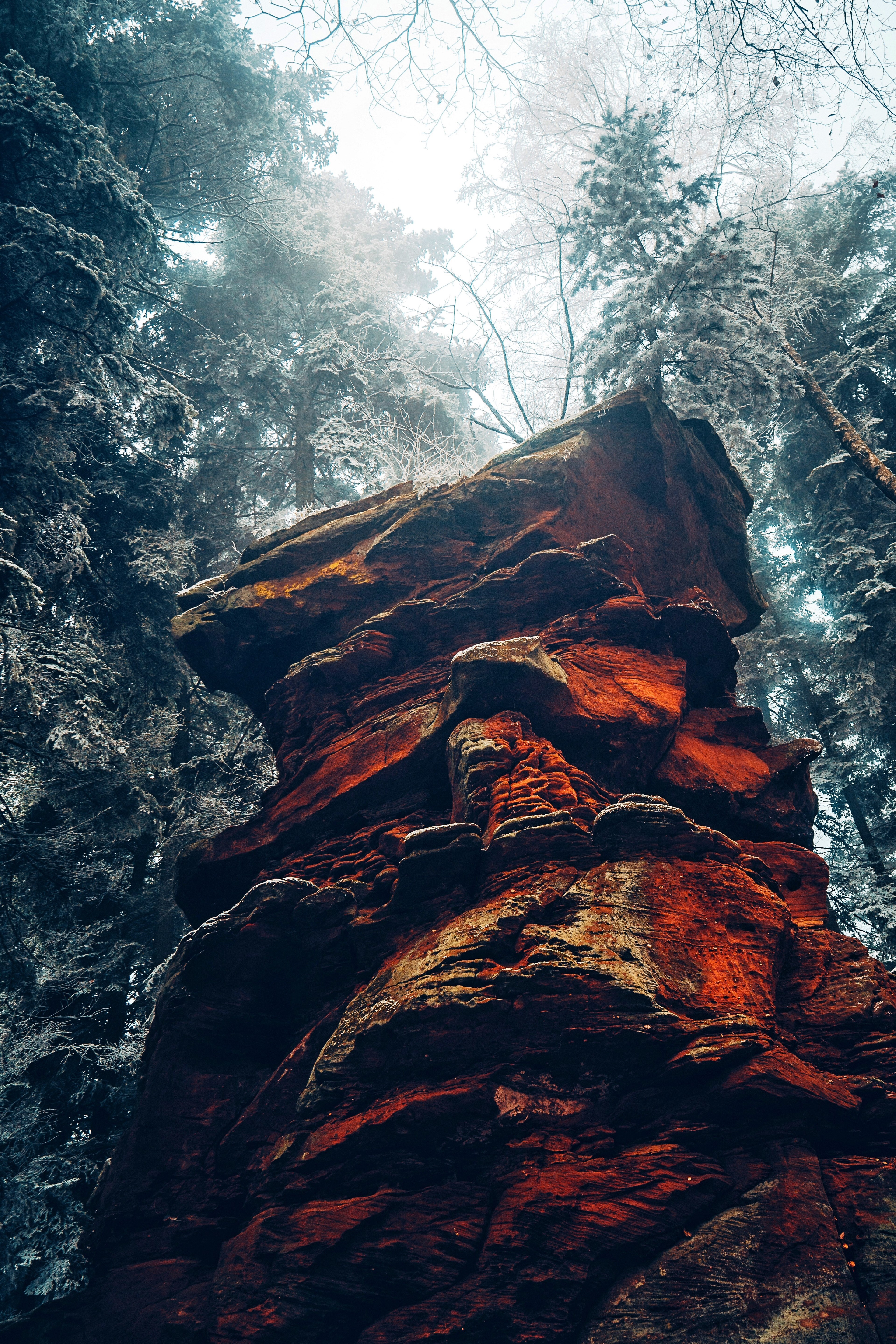 mountain rock cliff and tree hd, 4k, Phone HD Wallpaper