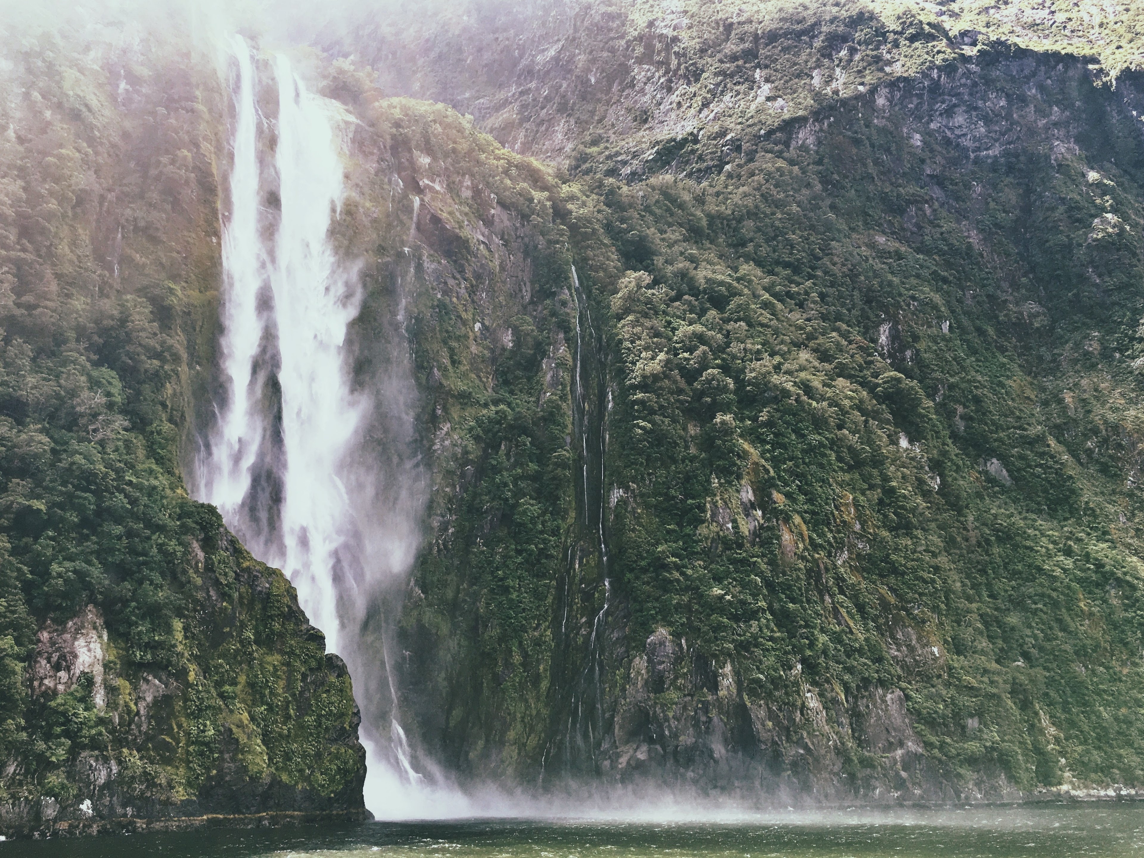 a tall waterfall pouring down from a green cliff in milford sound, chasing waterfalls 4k, HD Wallpaper
