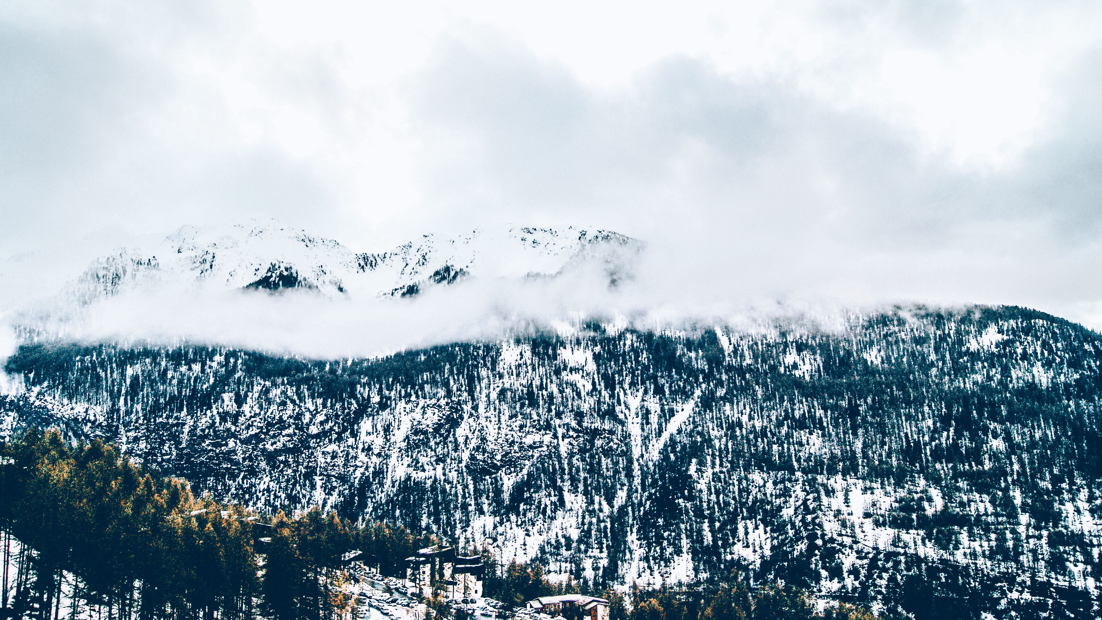 mountains, trees, fog, snow, 4k, HD Wallpaper