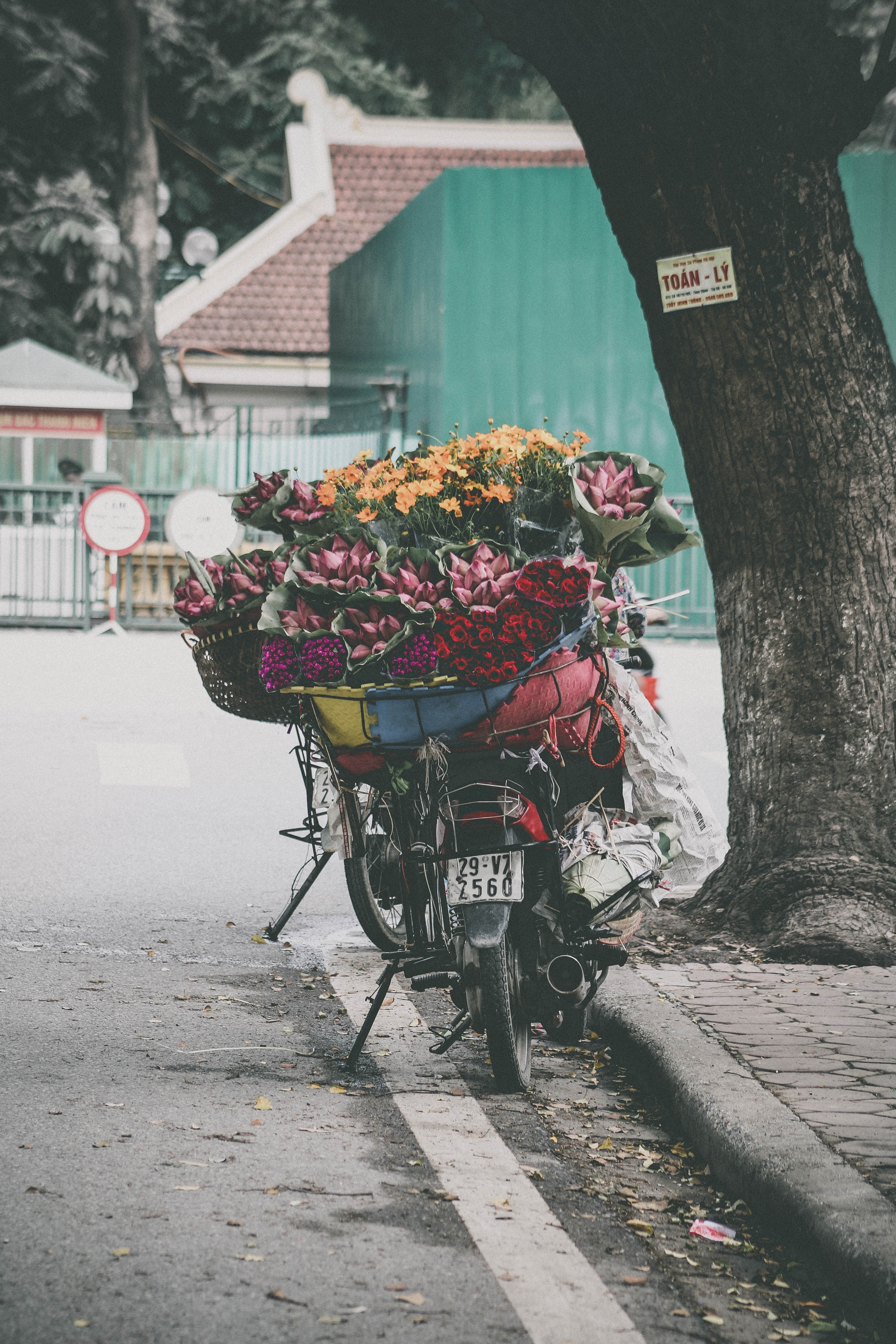 a delivery bicycle is parked outdoors full of flower bouquets in thy khu, flower delivery bicycle 4k, Phone HD Wallpaper