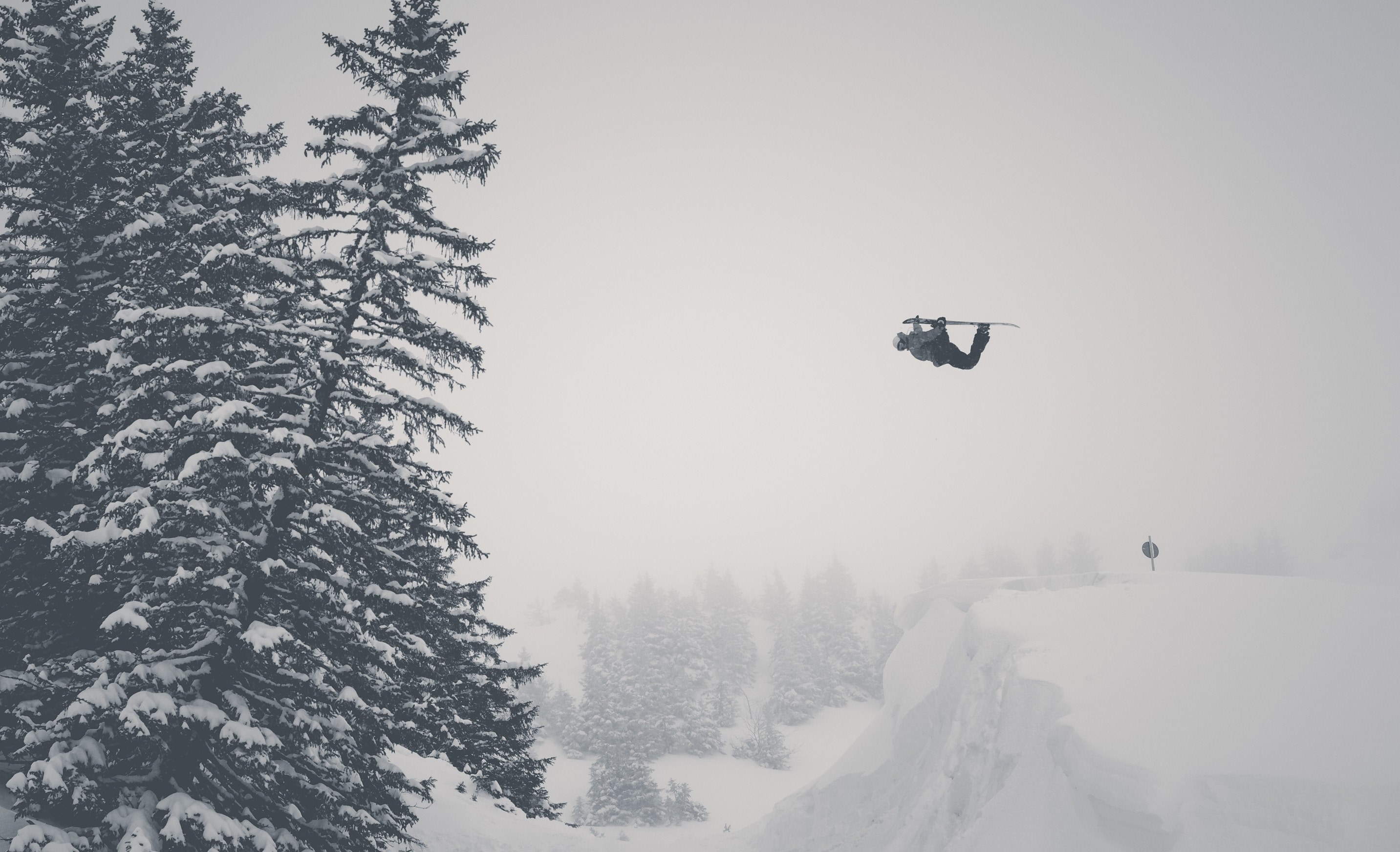 a drone flying in the snow along a tree line in black and white, black and white drone flying in snow 4k, HD Wallpaper