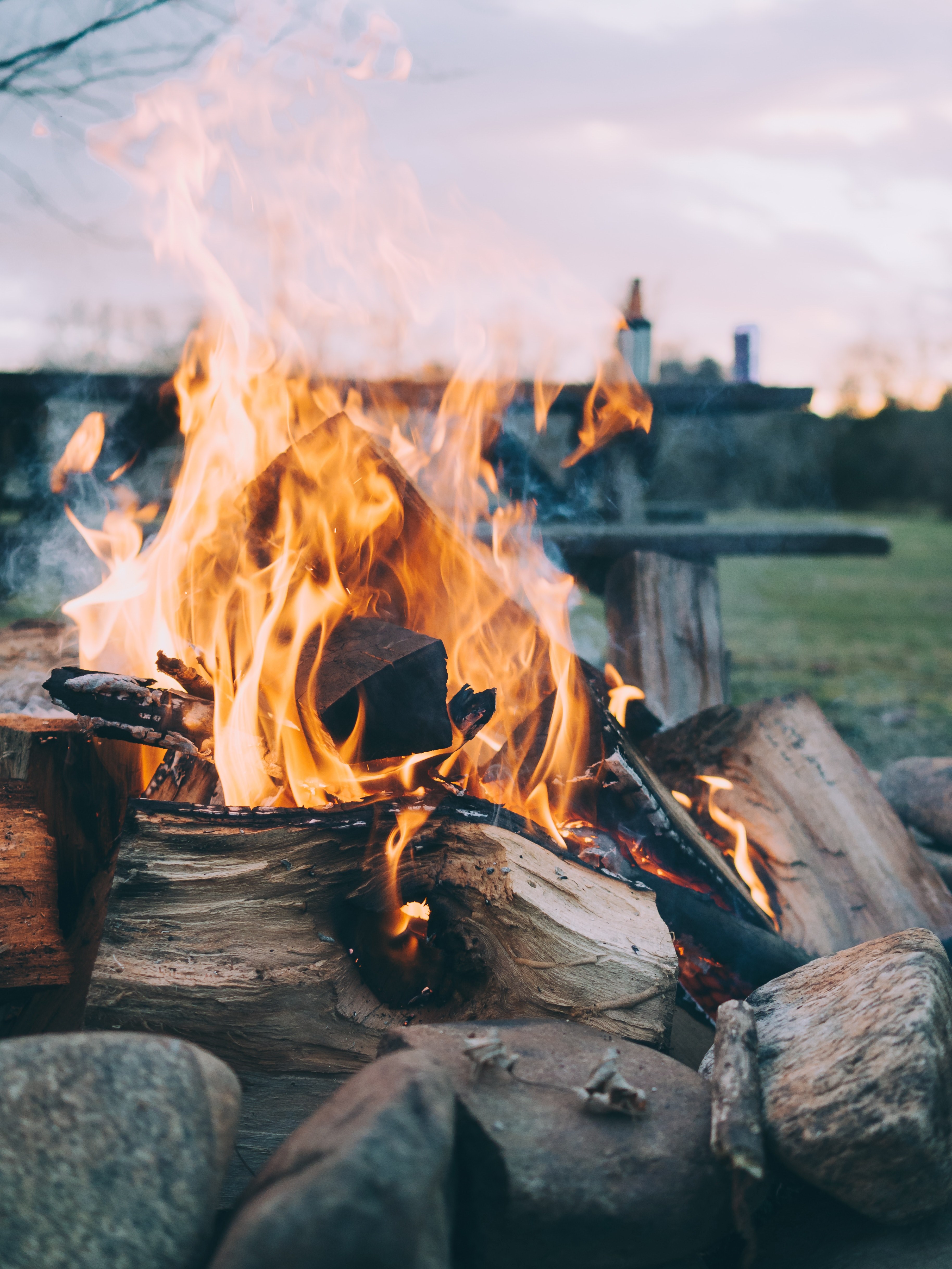 fire logs flame and burn hd, 4k, Phone HD Wallpaper