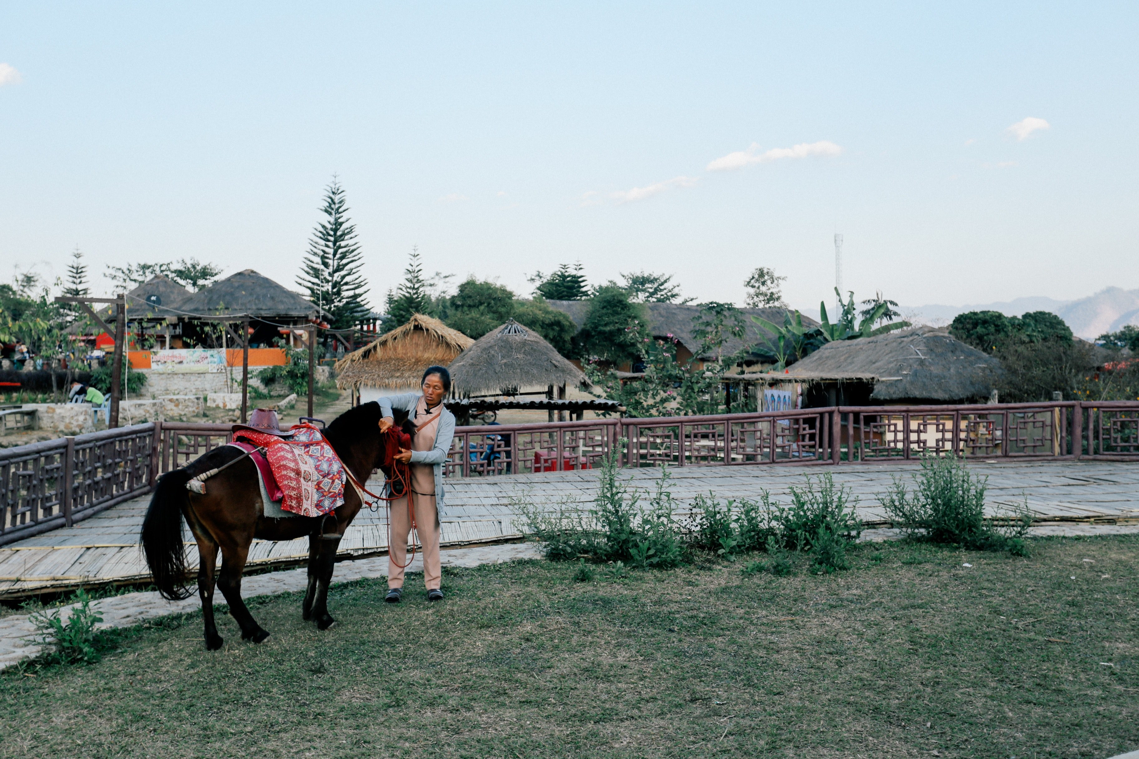 a woman grooming a dark brown pony next to a small village, village woman grooming her pony 4k, HD Wallpaper